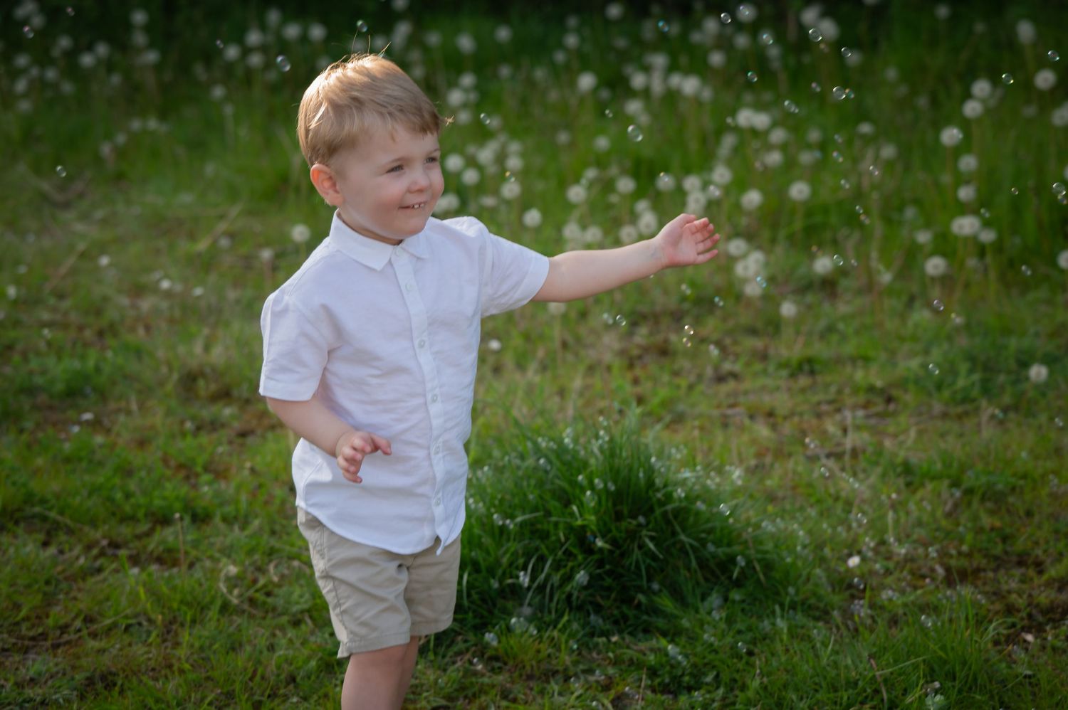 Little boy sitting on a blanket in a grassy field with white flowers, looking slightly to the side in a white shirt and beige shorts.