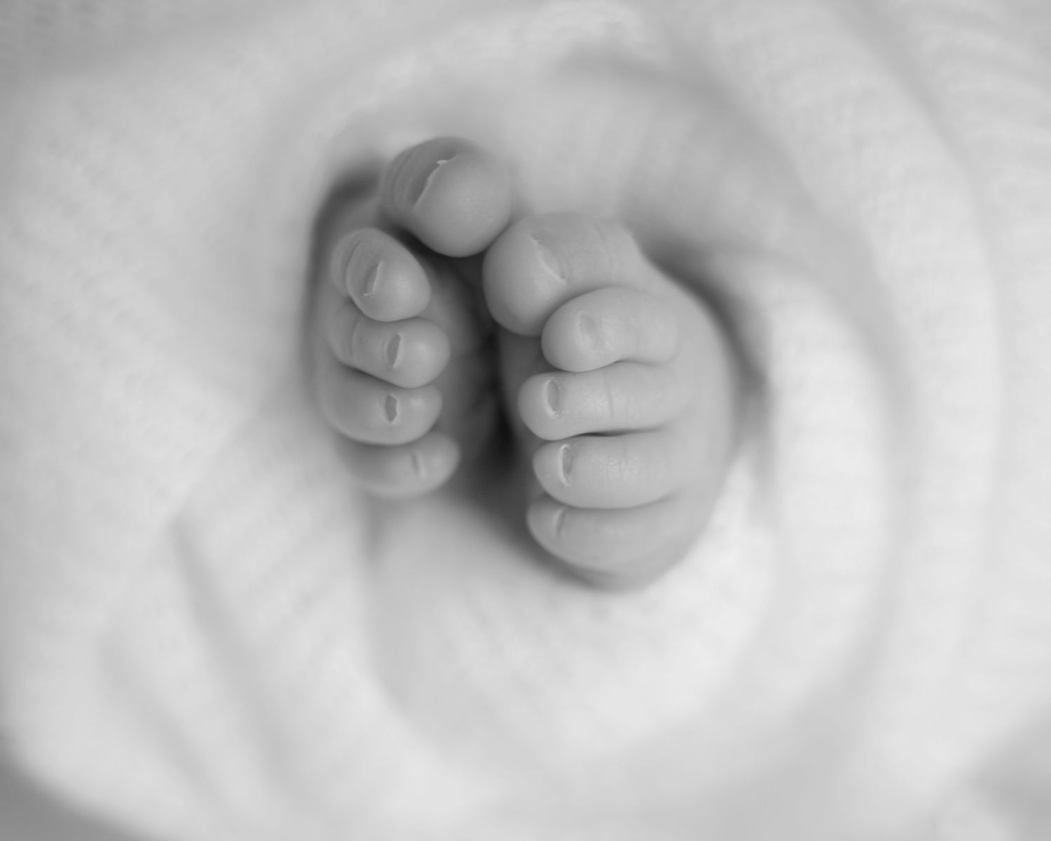 Close-up of tiny newborn feet wrapped in soft white blanket – timeless baby detail photo by Bathgate photographer
