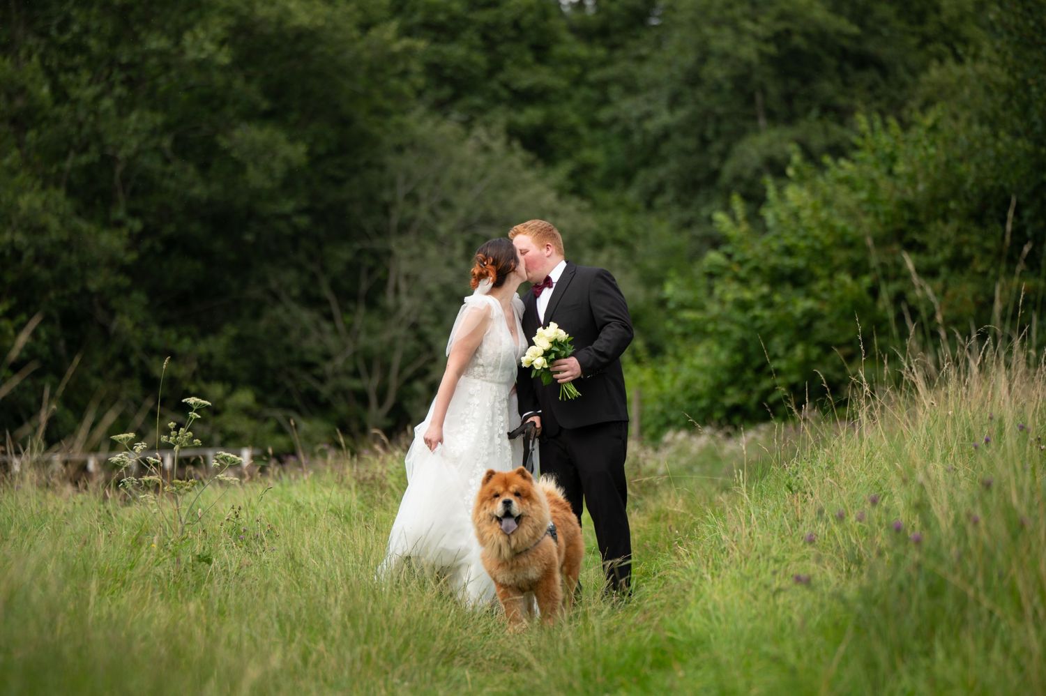Bride and groom kissing in a meadow with their fluffy dog standing in front