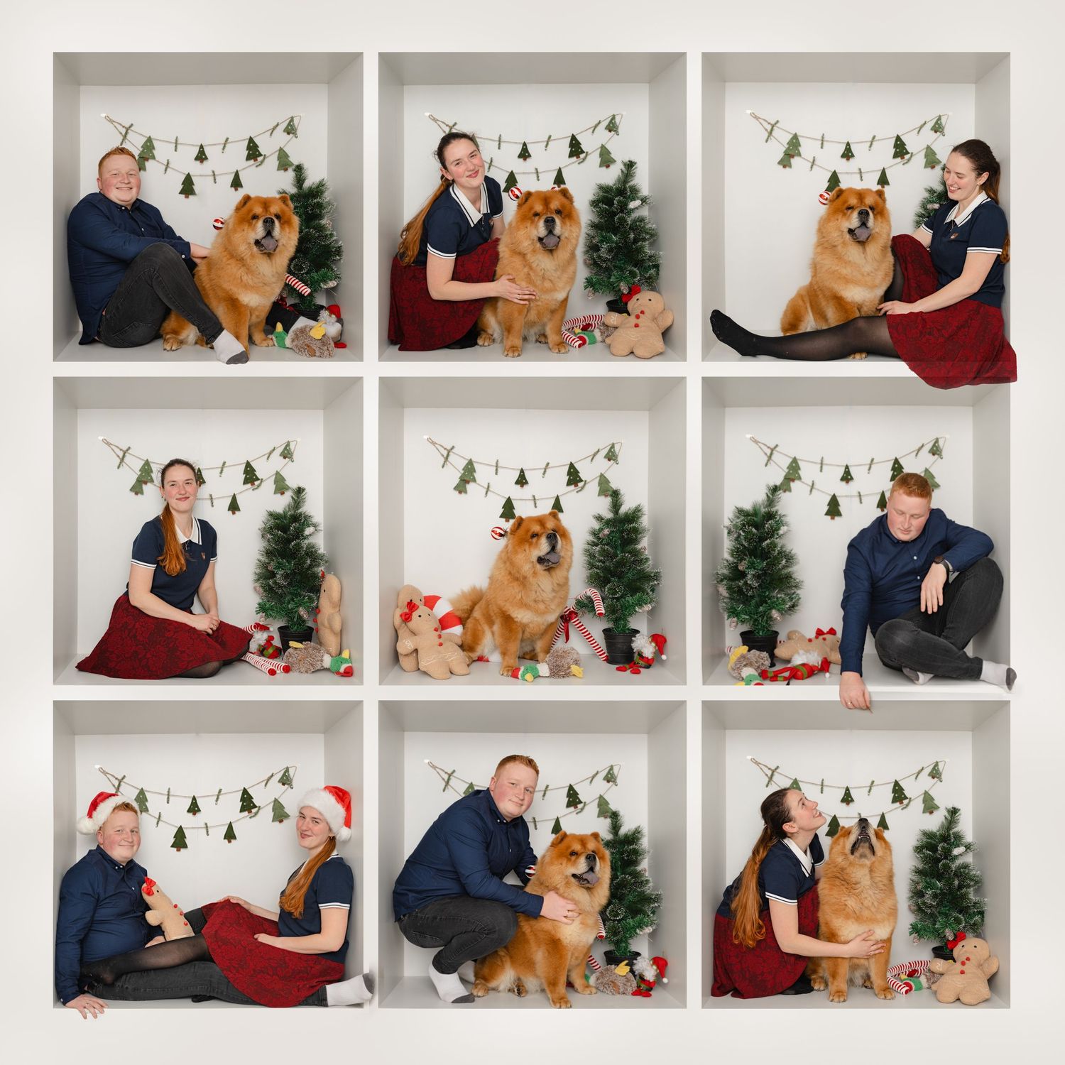 Christmas photo grid of children and dogs in festive outfits, seated near small Christmas trees with wrapped presents
