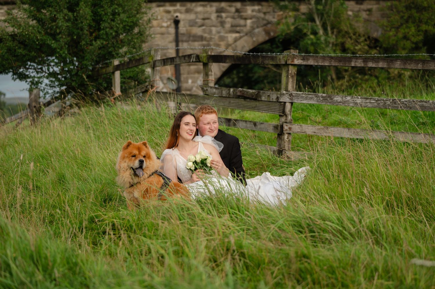 Bride and groom sitting in tall grass with their dog, near a rustic stone wall