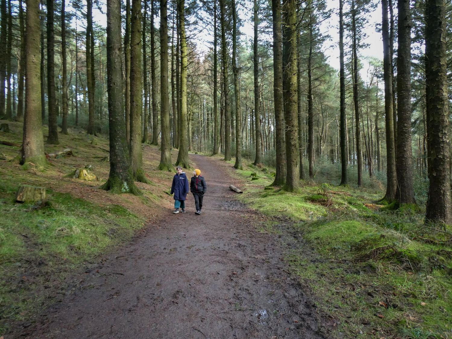 toddler walks Ribble valley