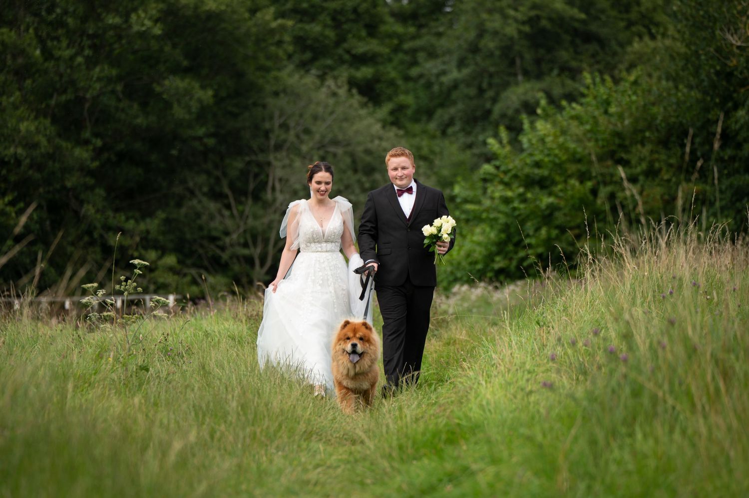 Bride and groom walking through tall grass with their dog, with a stone viaduct in the background