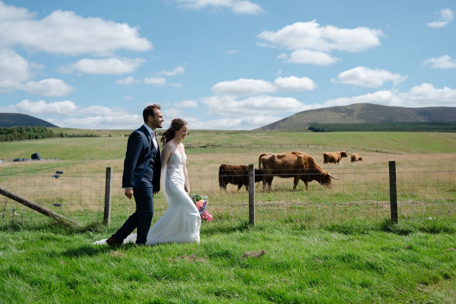 Bride and groom walking through field with cows and rolling hills in the background