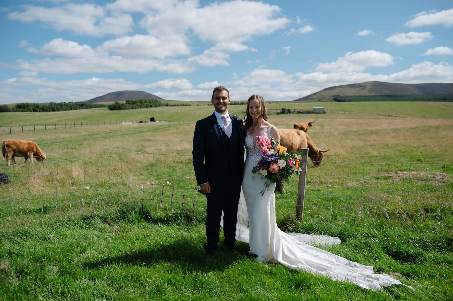 Bride and groom posing in front of hills and cows, showing long lace train
