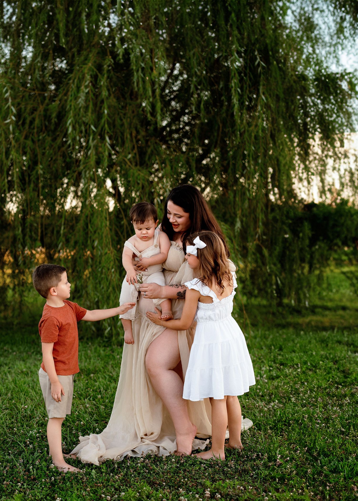 Family gathering under a weeping willow tree in a lush green field.