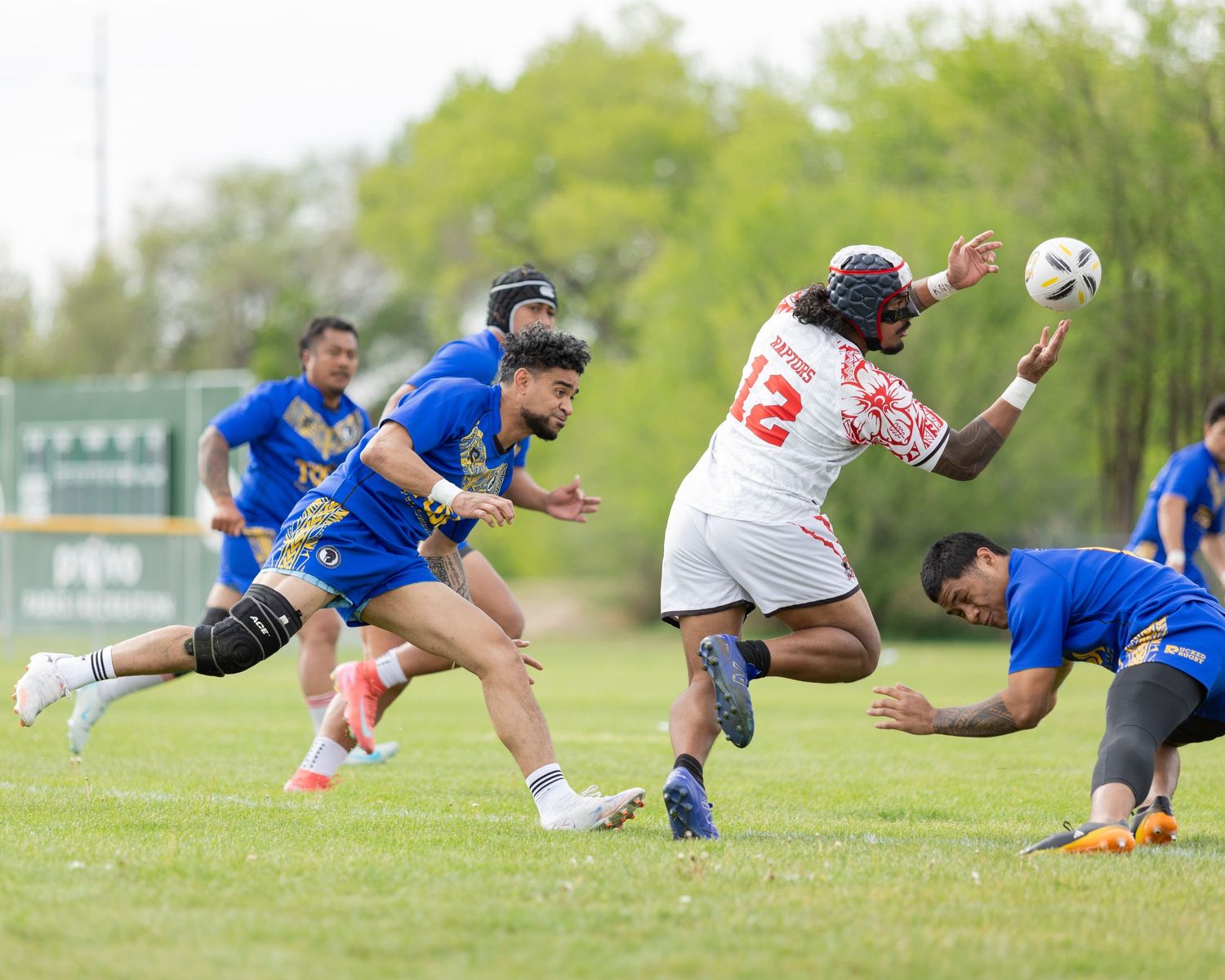 Rugby players in blue uniforms compete against opponents in white during an intense outdoor match on a grass field.