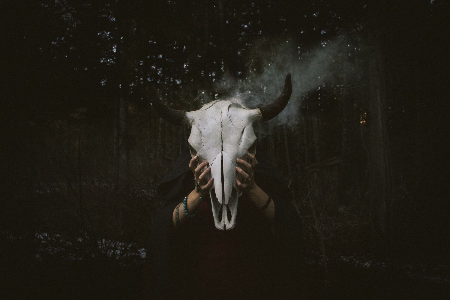 Dark atmospheric photos of animal skulls arranged against black backgrounds create a moody gothic aesthetic.