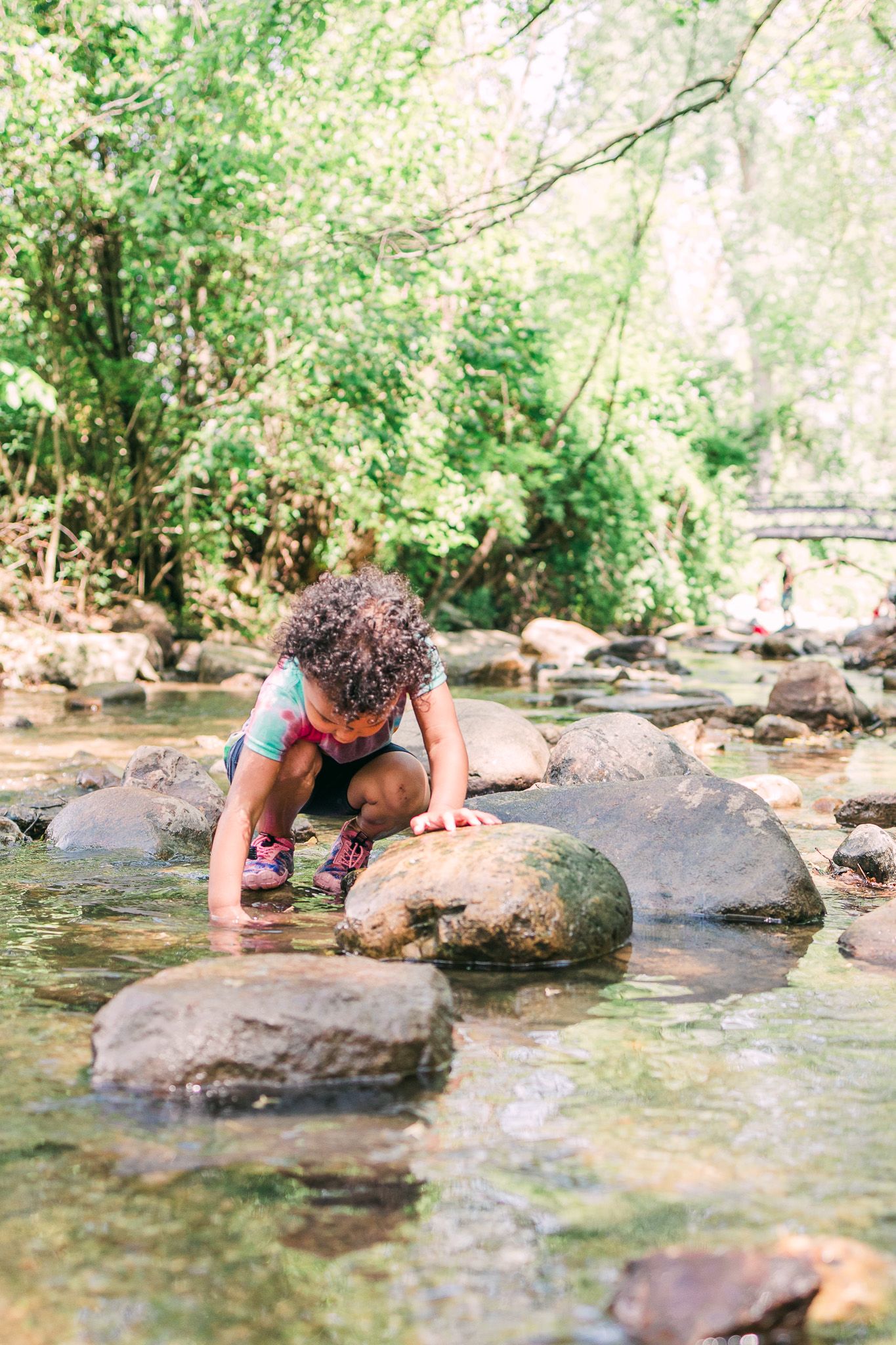 A curious child explores a shallow creek by balancing on rocks in a lush green forest setting with crystal clear water.