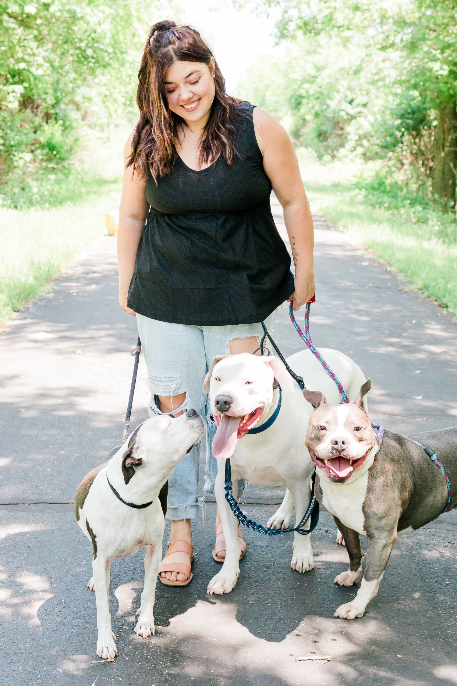 Happy person pets two white and gray dogs sitting on a shaded walking path in a park.
