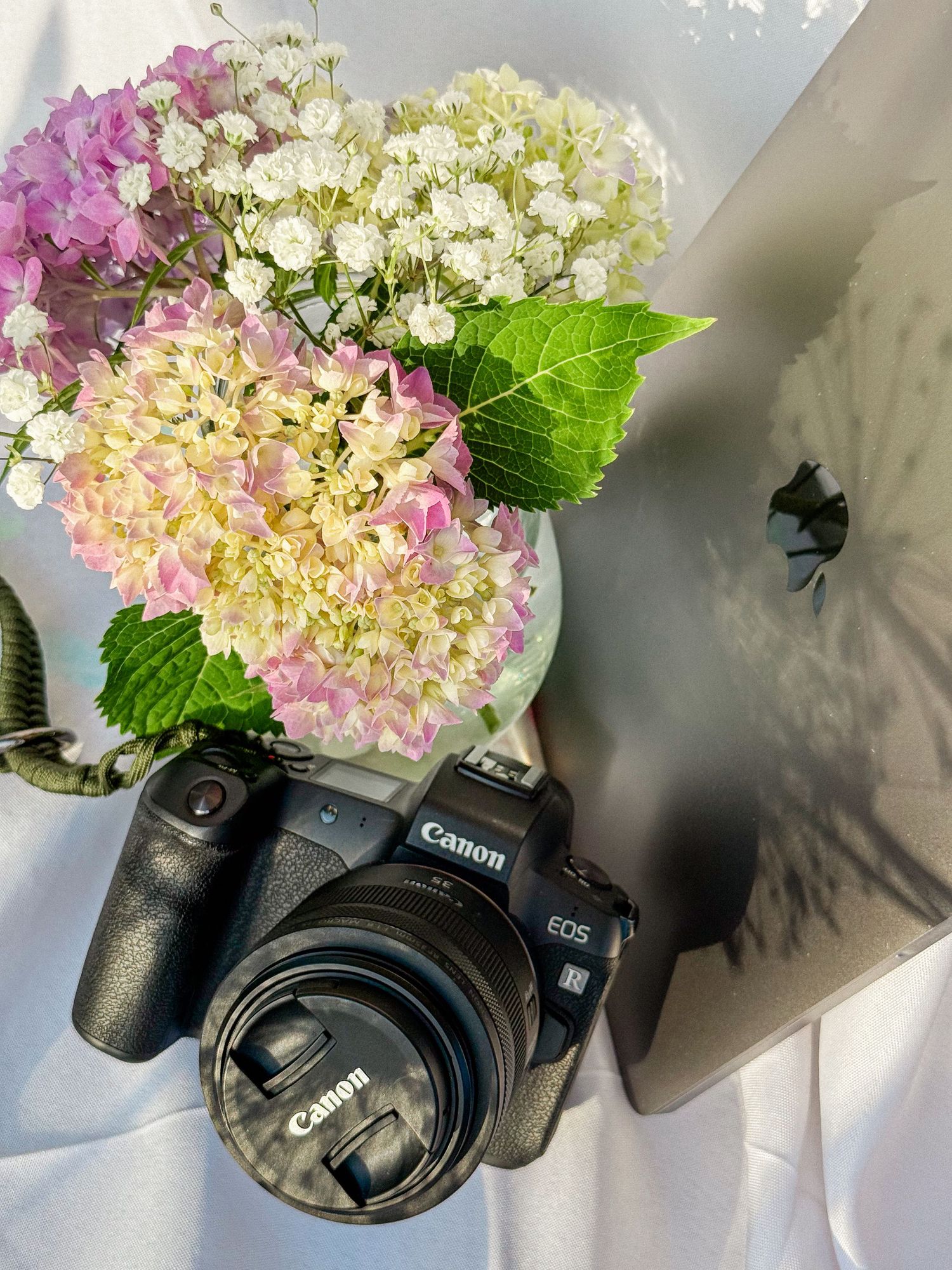 A Canon EOS camera sits beside pink and cream hydrangea blooms with green leaves against a light background.