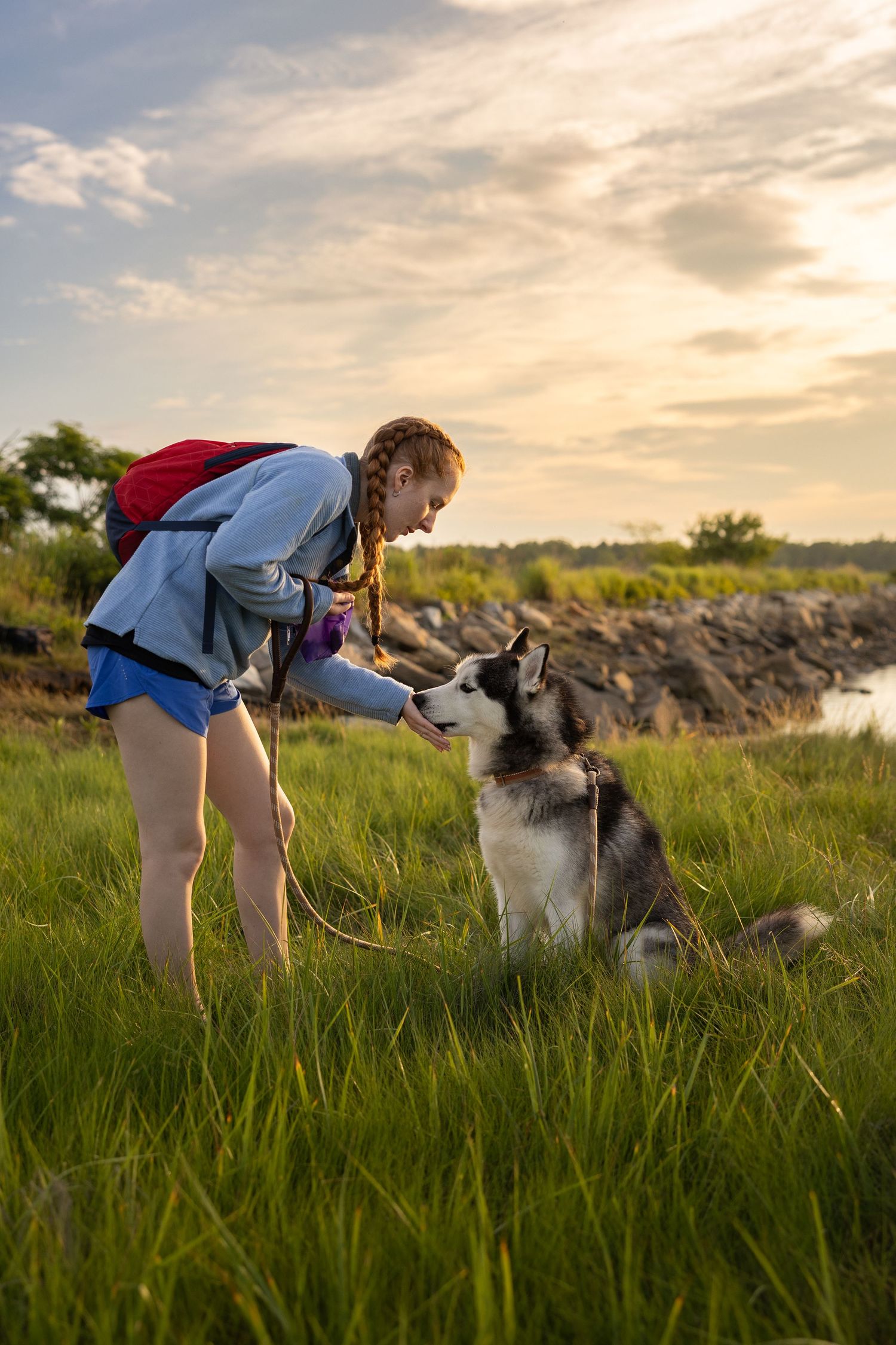 A young woman with a red backpack feeds her Siberian Husky dog in a lush green field at sunset.