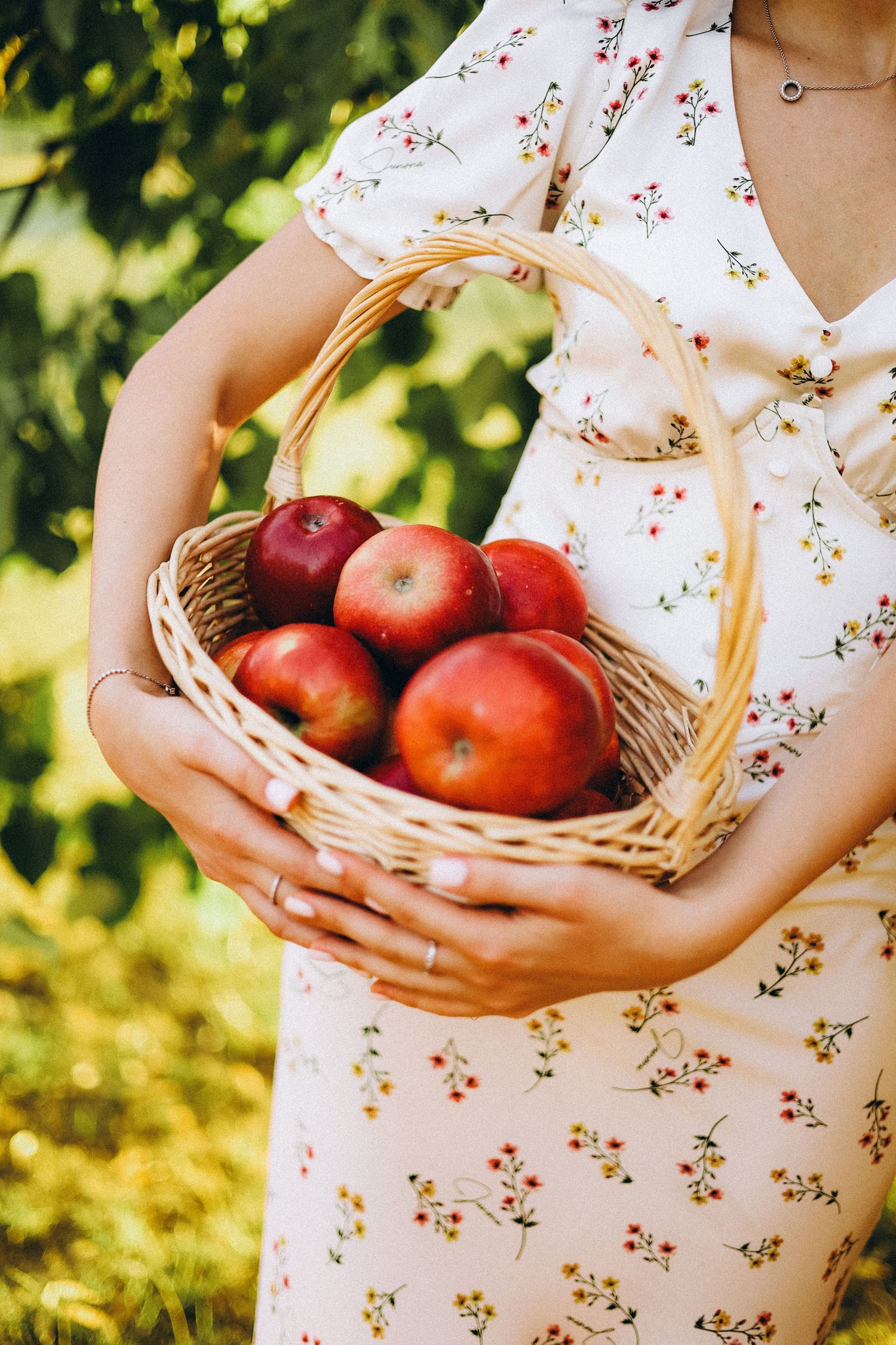 Woman in a floral dress holding a wicker basket filled with fresh red apples in a sunny orchard.