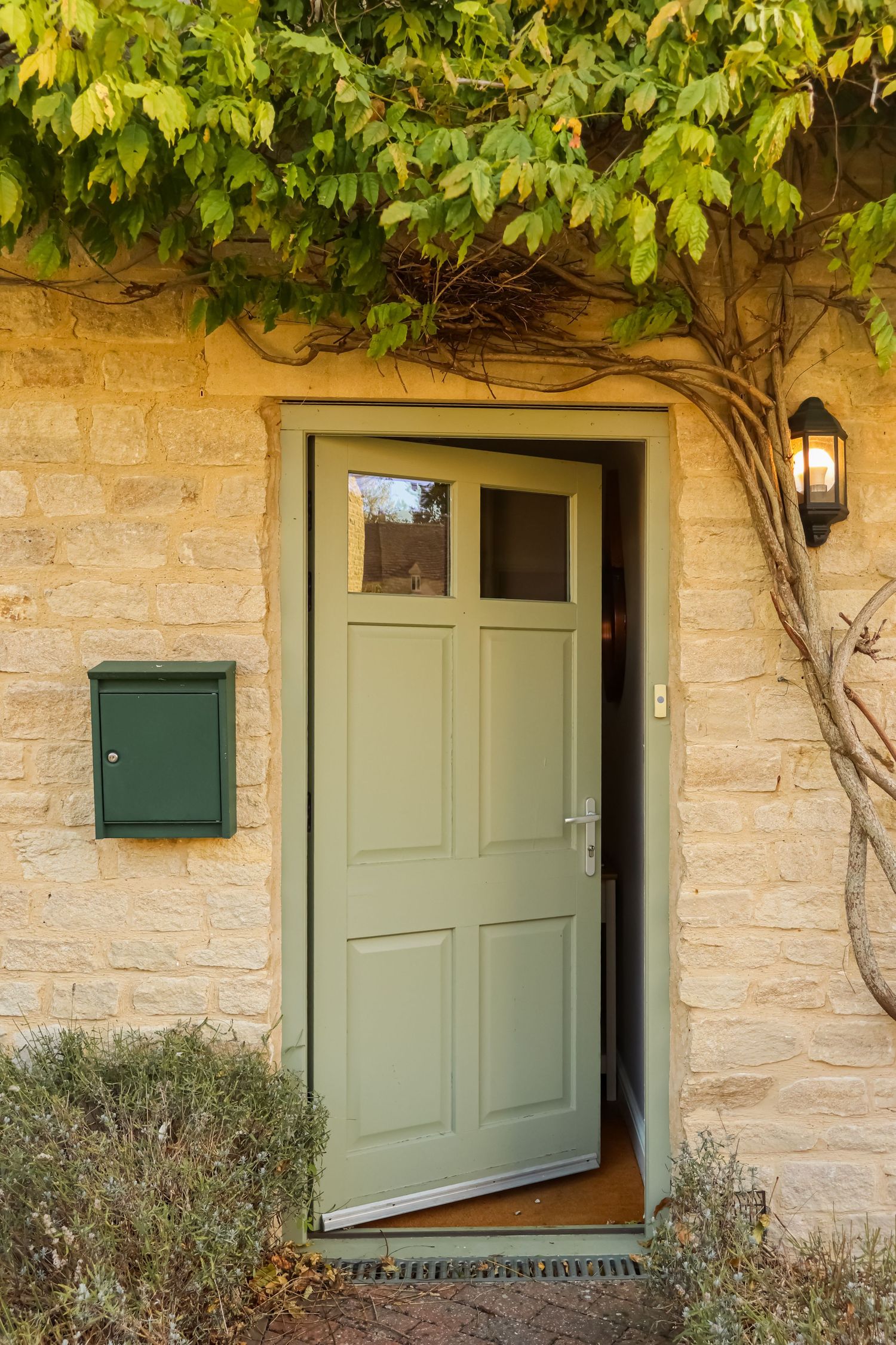 Sage green front door of a stone cottage standing open, framed by climbing wisteria, a wall lantern and a green mailbox.