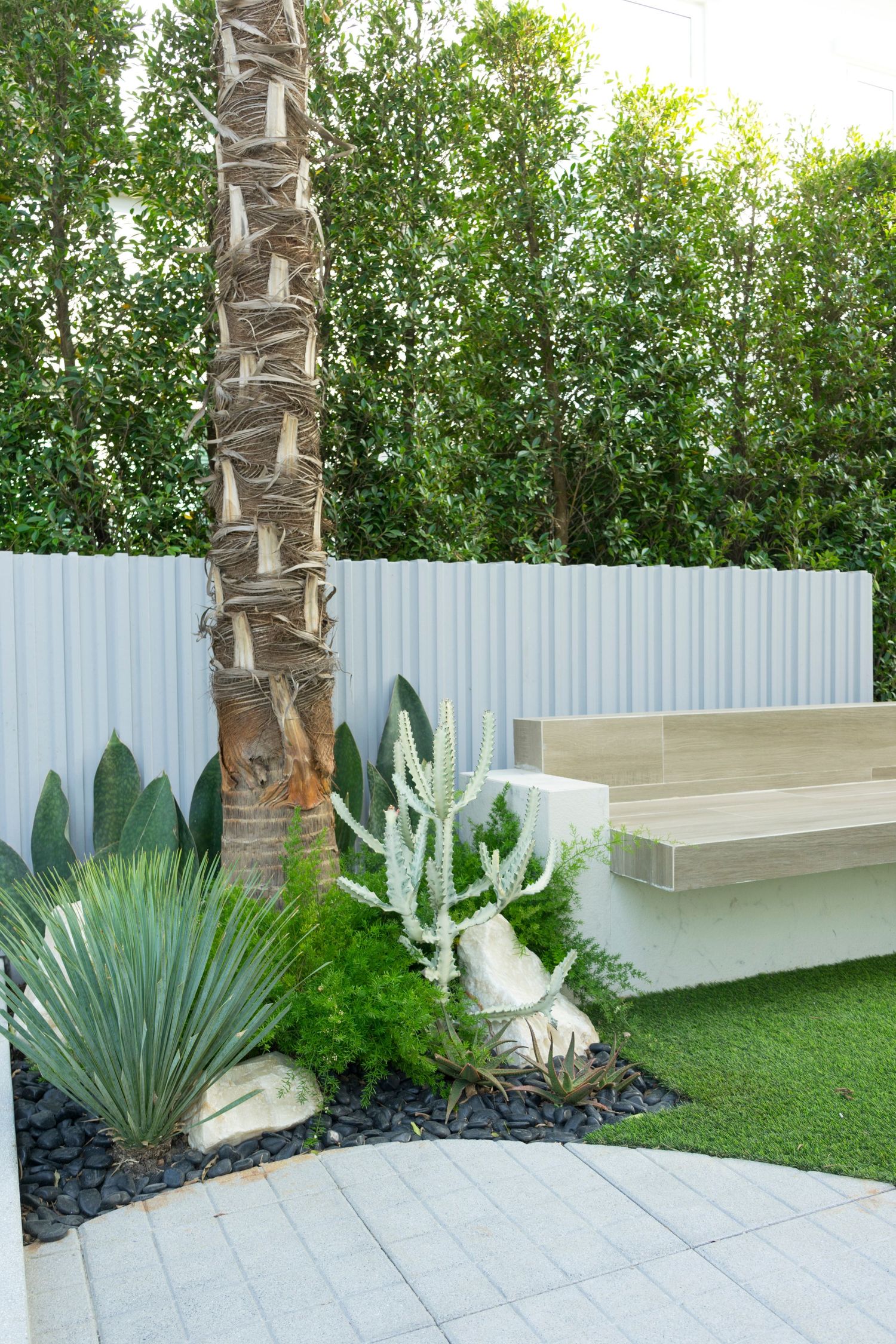 Modern garden corner with a palm trunk, agave and cactus plants, black pebbles, a paved path, built-in wooden bench and tall green hedge.