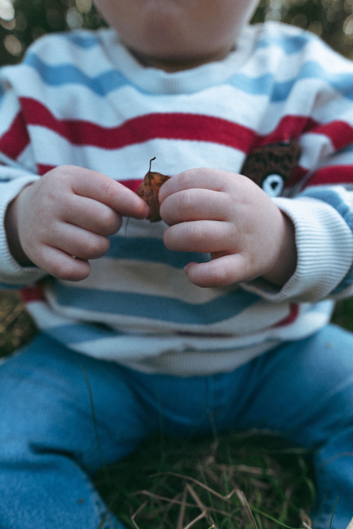 Close up of child holding berries