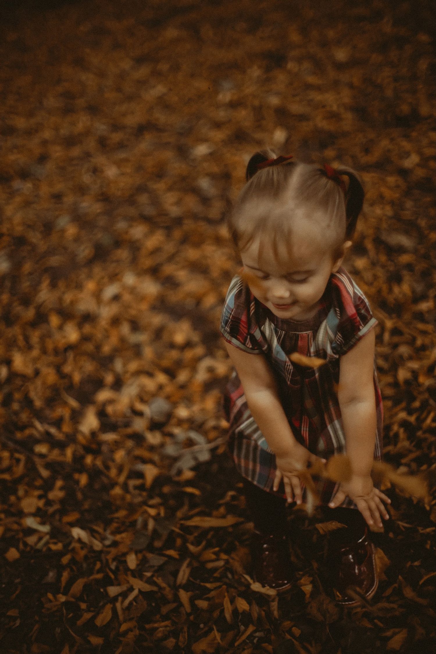 Child playing in leaves