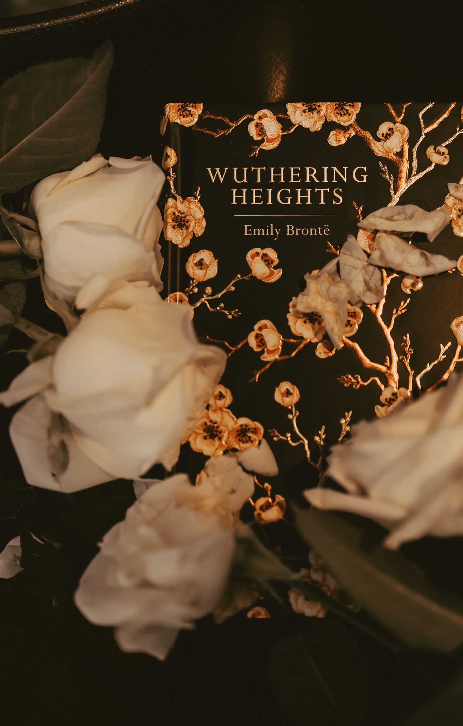 A dark floral edition of Wuthering Heights by Emily Bronte rests among white roses in a moody, atmospheric still life.