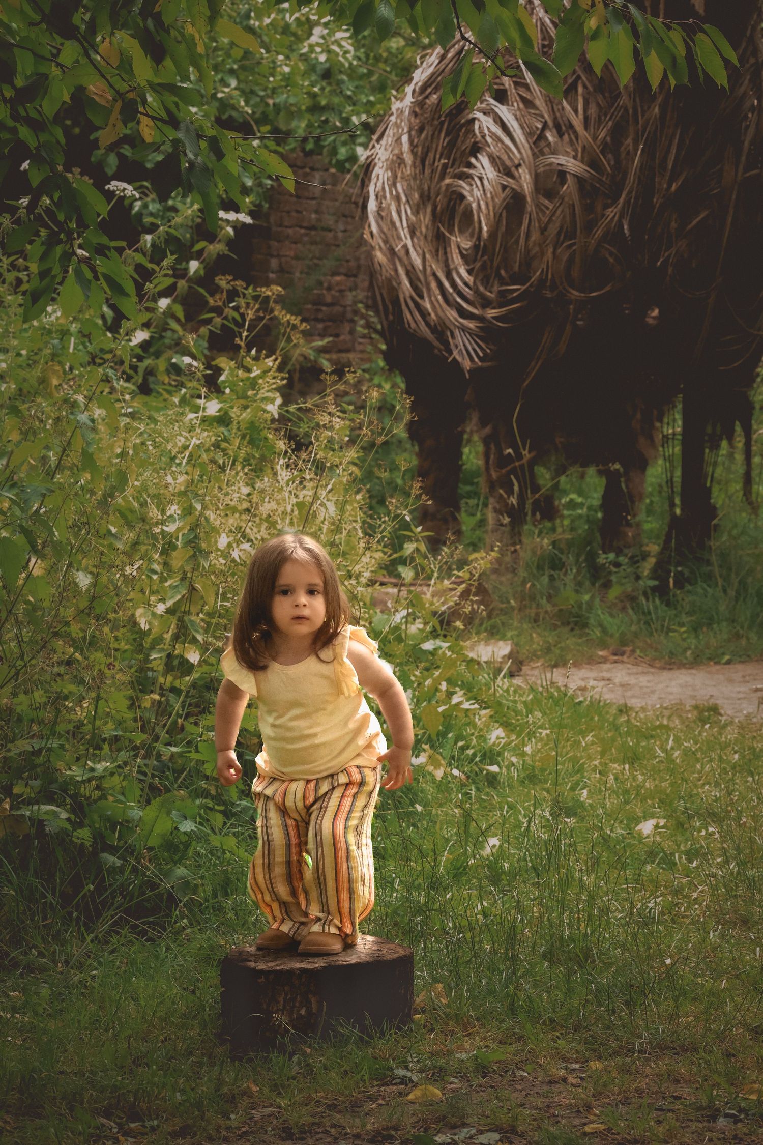 Child stood on tree stump