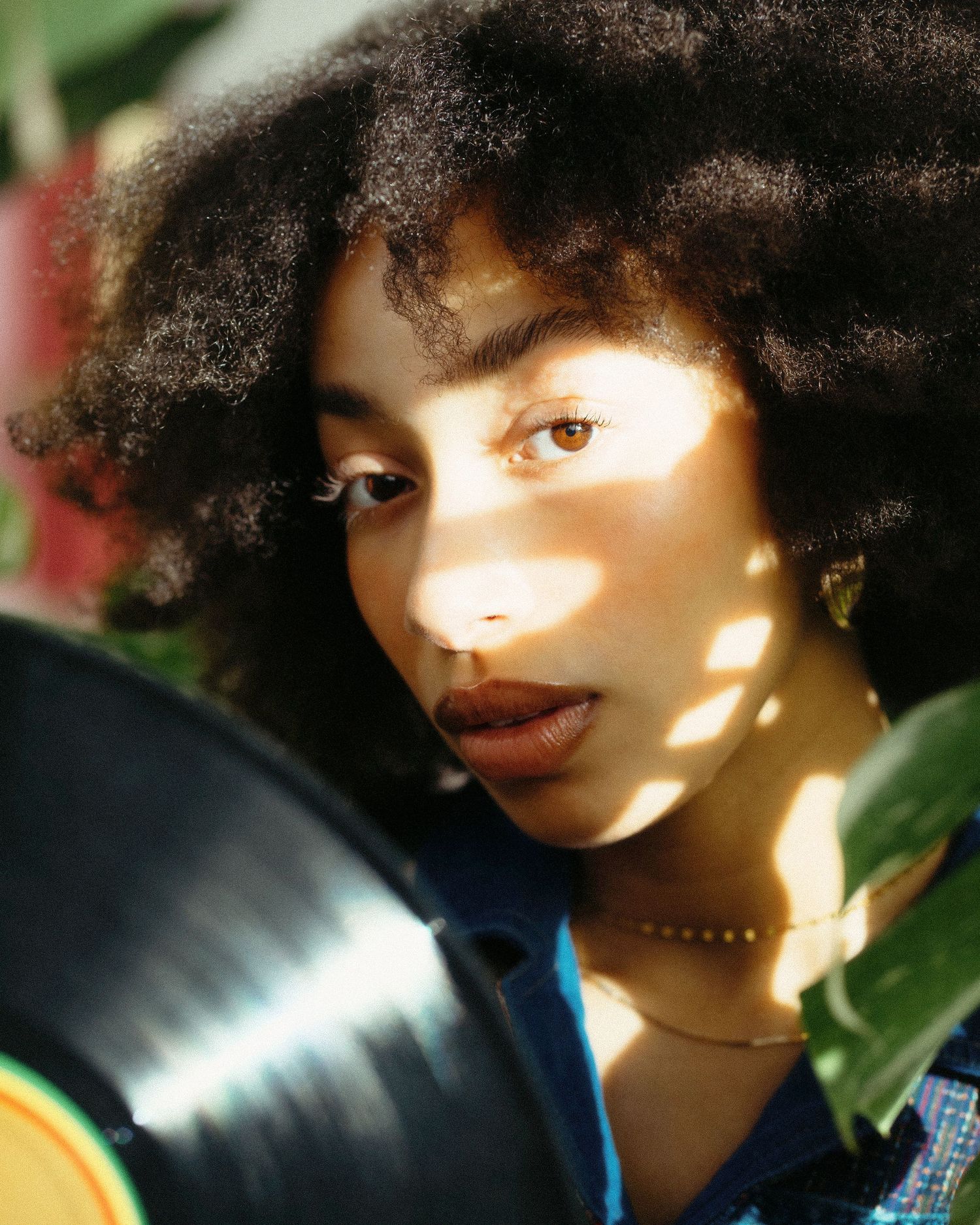 Young woman with natural afro hair holding vinyl record in warm sunlight portrait.
