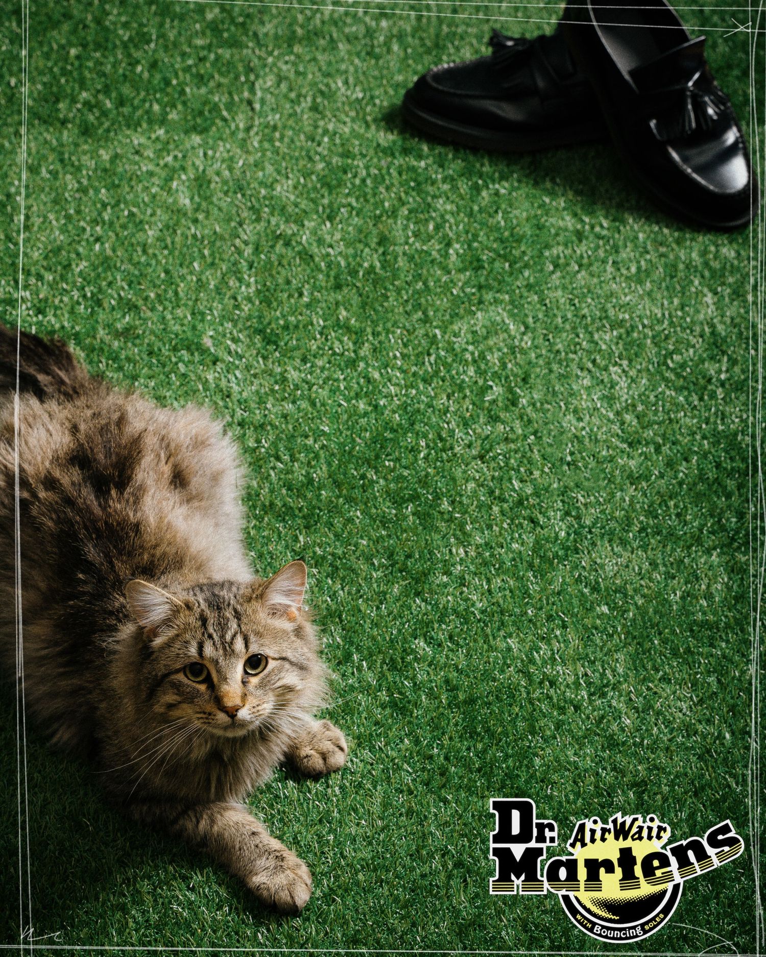 Fluffy tabby cat lying on green grass near a pair of Dr. Martens black shoes.