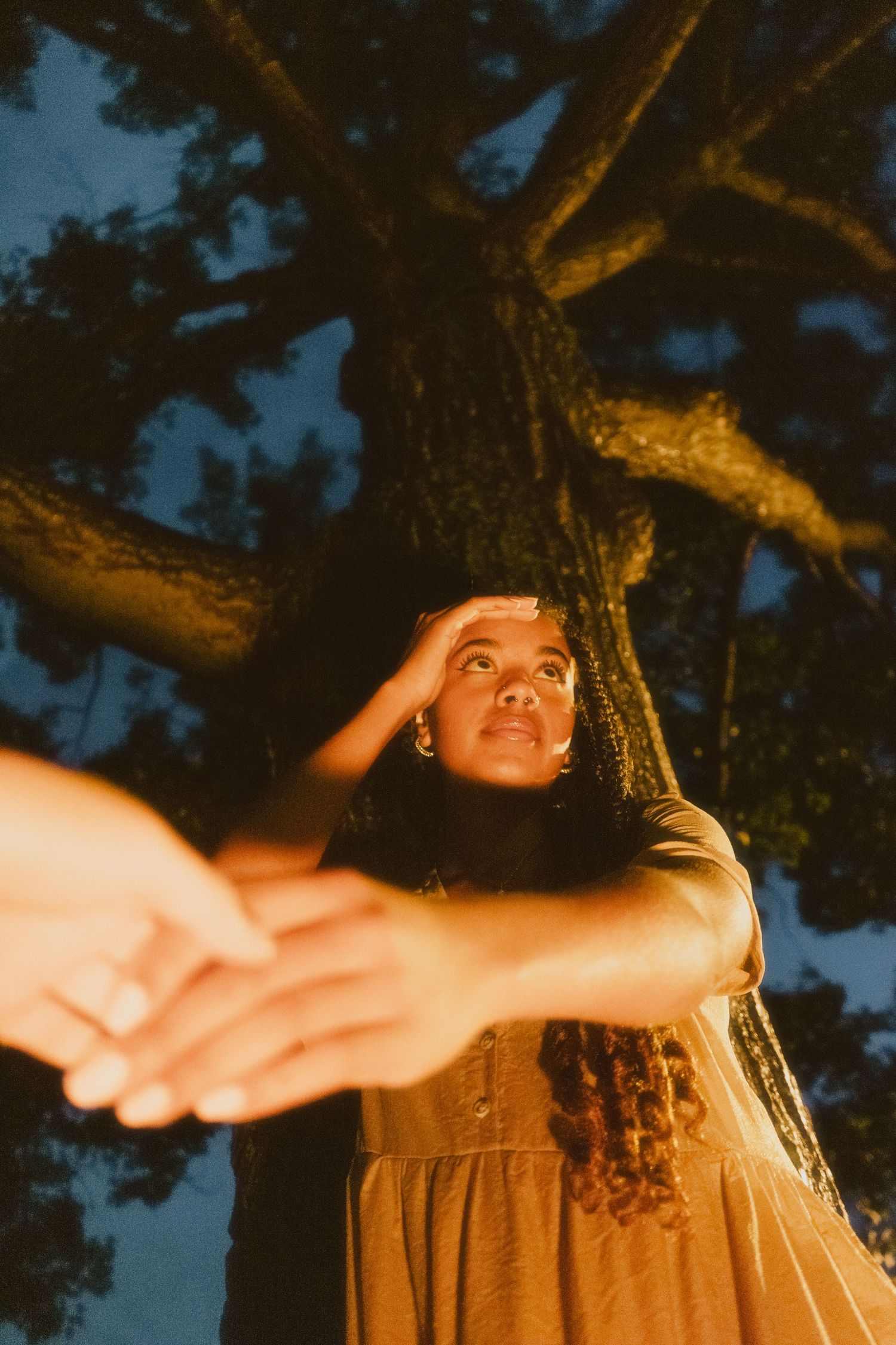 Low-angle view of a woman in a tan dress looking up beneath a large tree at dusk, reaching forward.