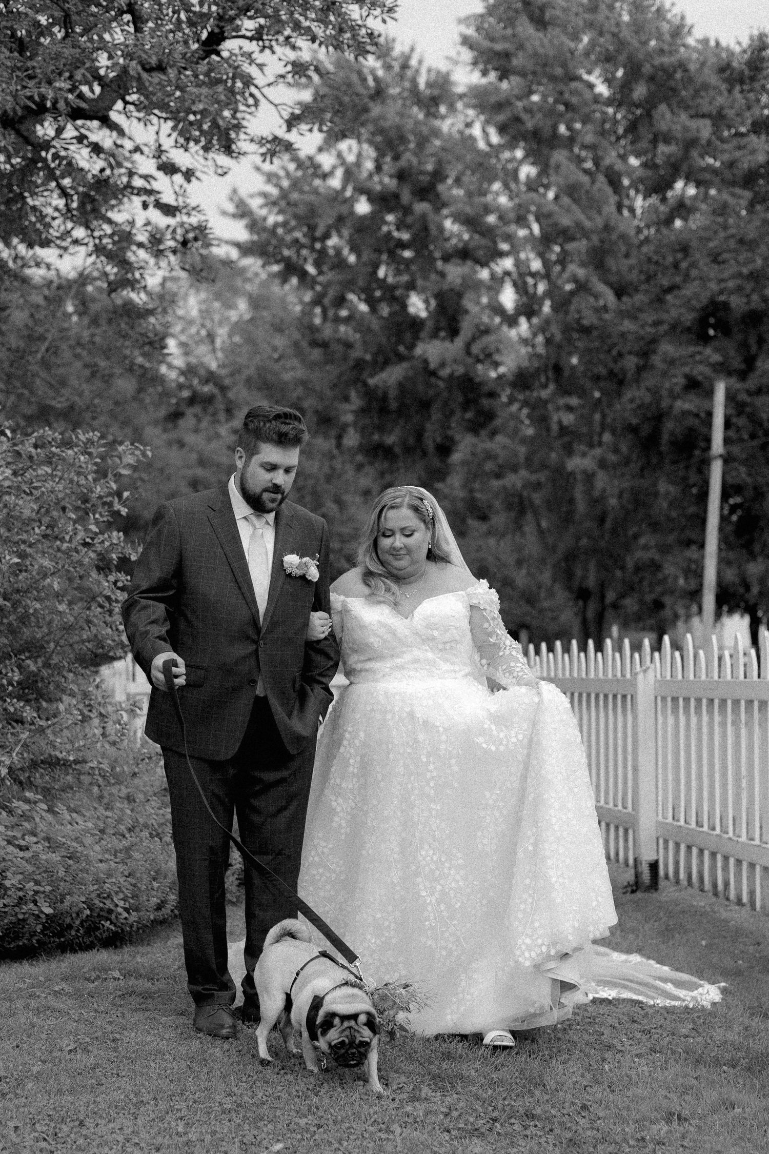 Black and white photo of bride and groom walking a pug along a white picket fence.
