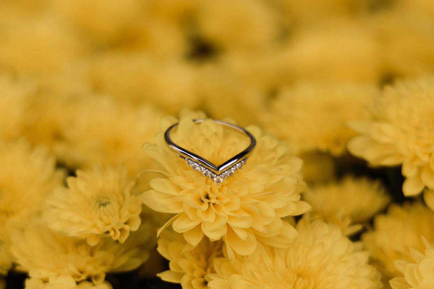 Elegant silver chevron diamond ring resting on vibrant yellow chrysanthemum flowers for a wedding proposal.