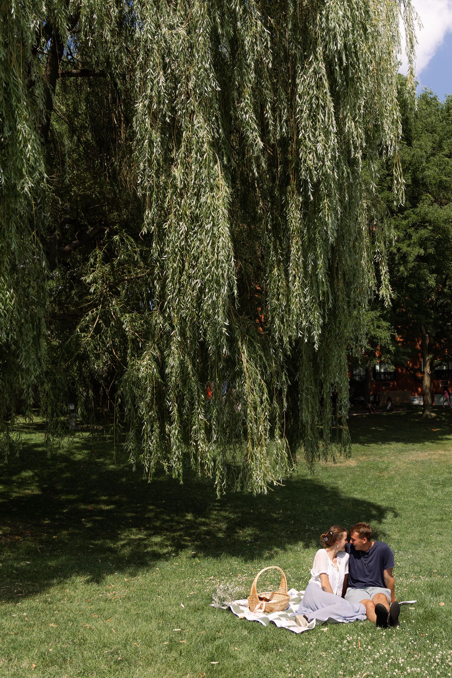 Couple sharing a romantic picnic on a blanket under a weeping willow tree in a lush green park on a sunny day.