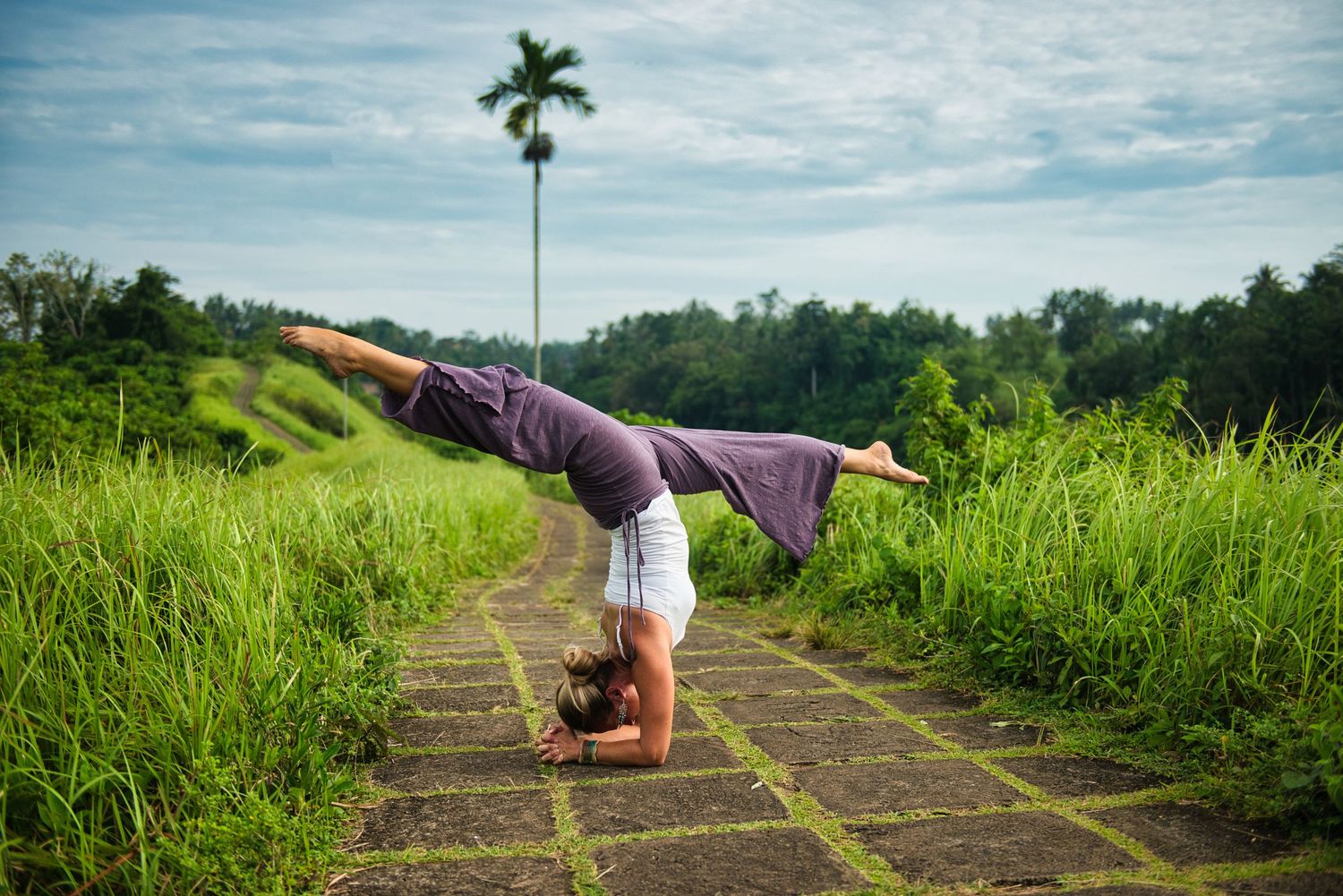 Person performing a headstand yoga pose on a stone path surrounded by lush green fields and a tall palm tree. 
Lotus Land.Photo