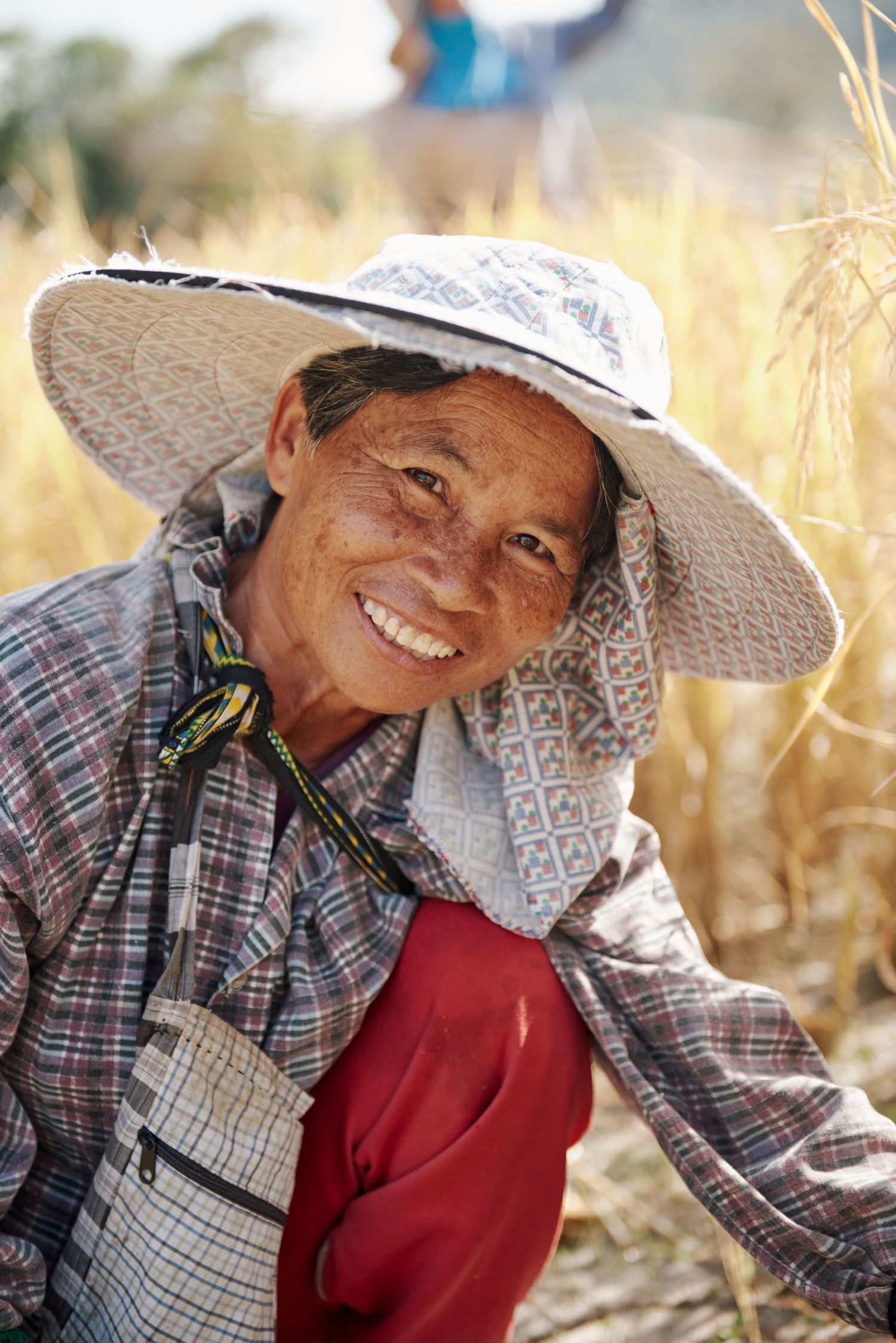 Smiling elderly Asian woman farmer wearing wide-brim hat harvesting crops in a golden field.
Lotus Land.Photo