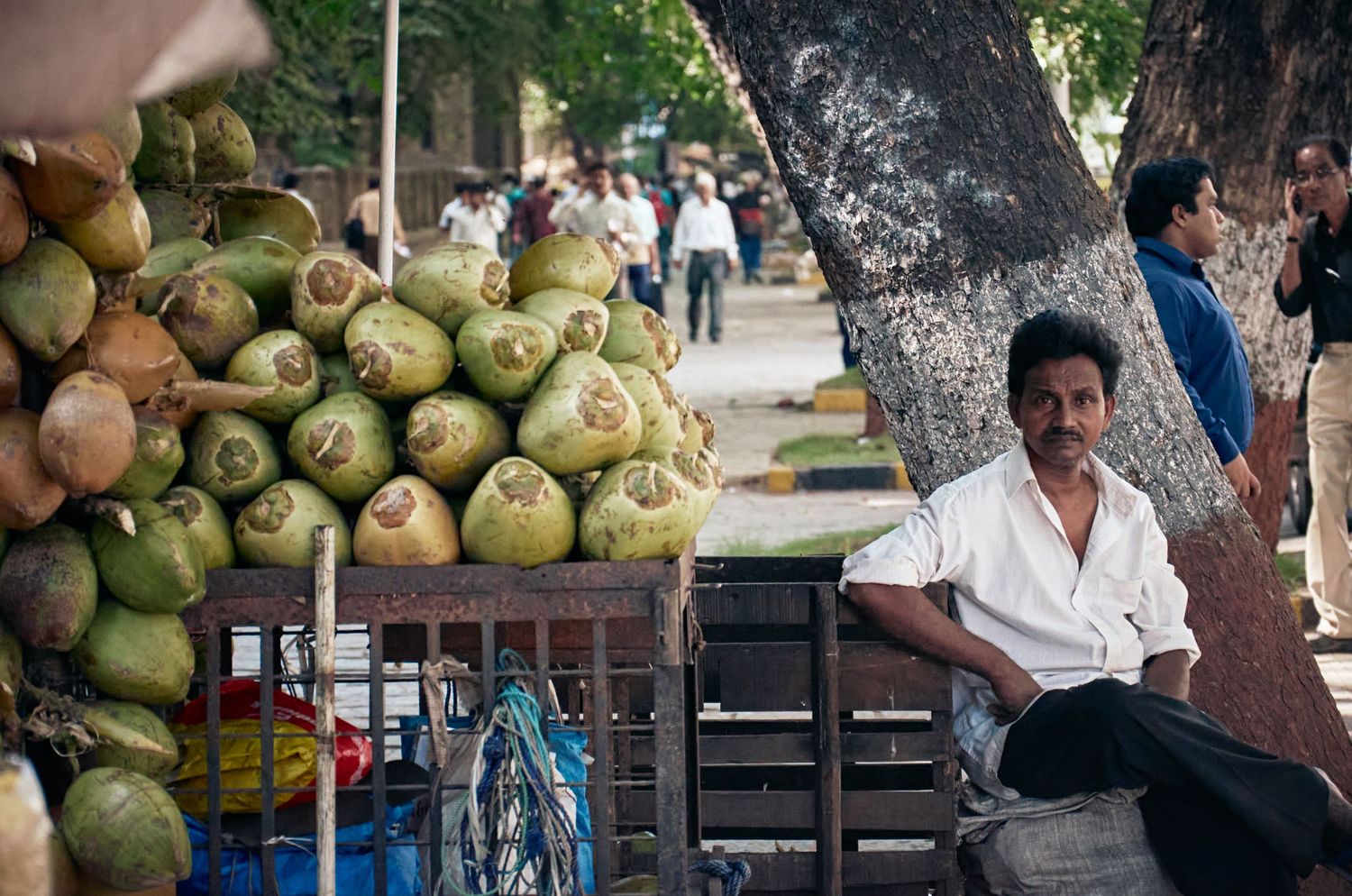 A street vendor selling fresh green coconuts sits relaxed beside a tree in a busy outdoor market in India.