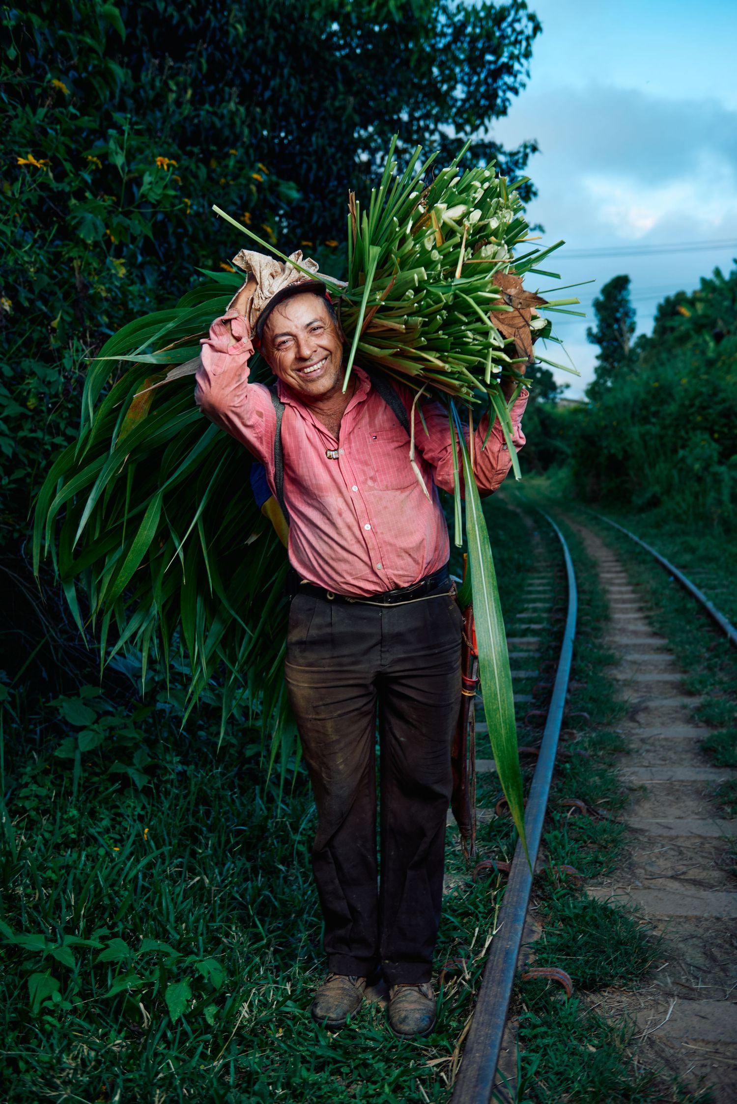Smiling farmer carrying large bundle of green plants on shoulder beside railway tracks in lush tropical setting.
Lotus Land.Photo