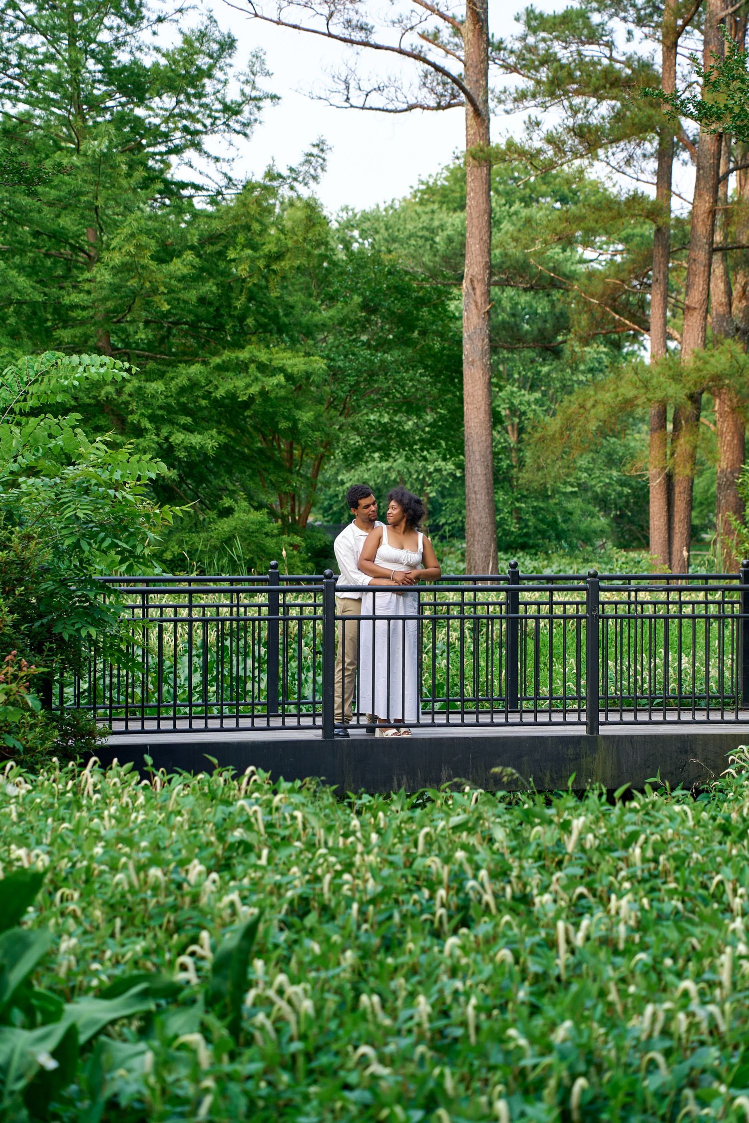 Couple embraces on bridge surrounded by green pine trees and lush foliage in romantic outdoor setting.