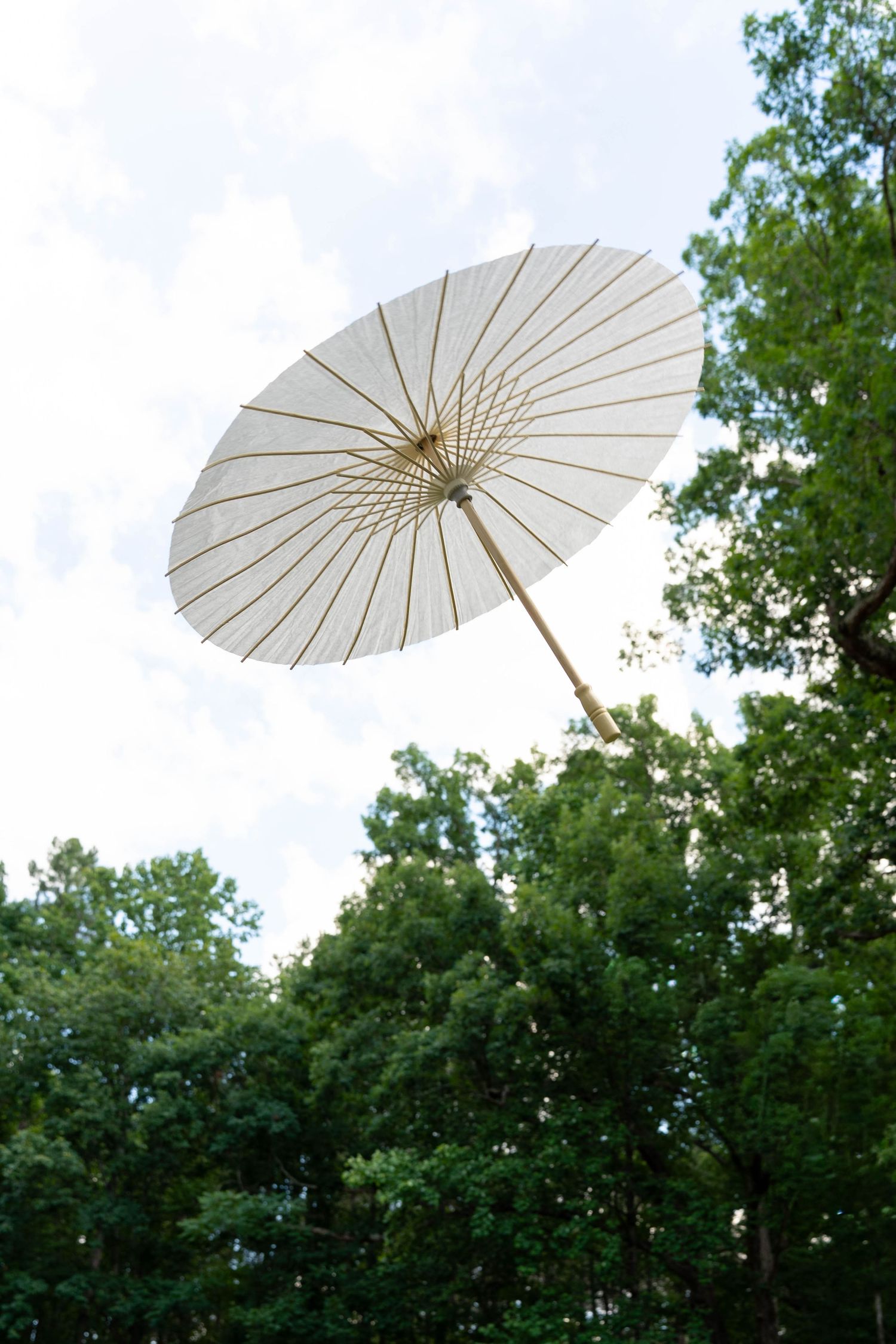 White paper parasol held up against blue sky surrounded by green trees.