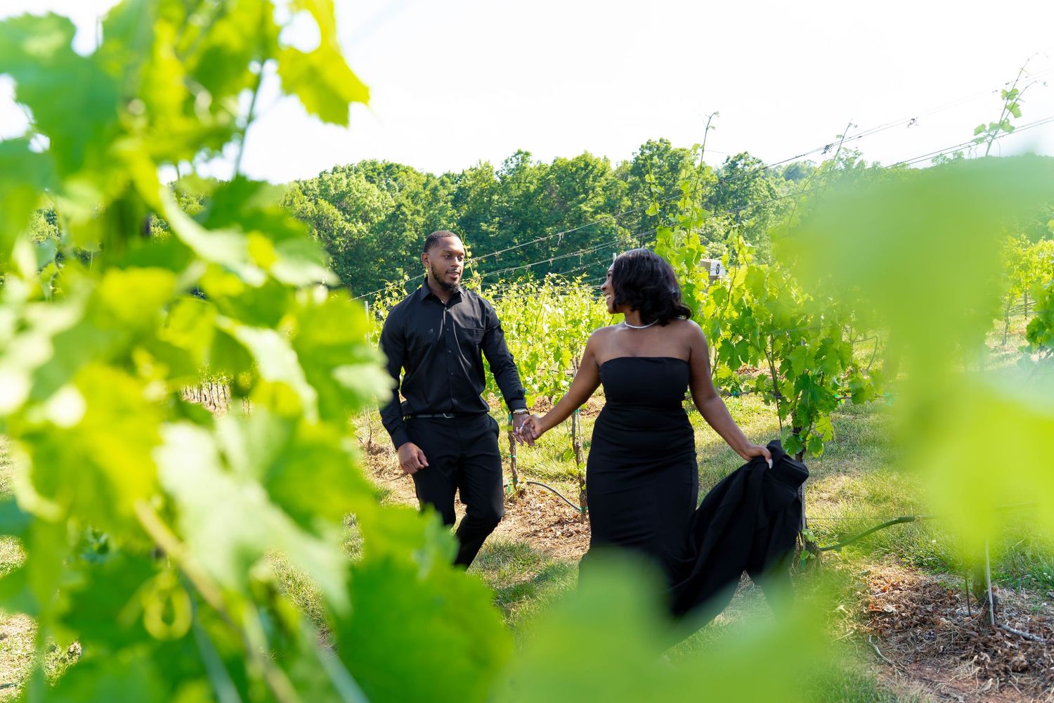 Romantic couple in black outfits strolling through a sunlit vineyard holding hands together.