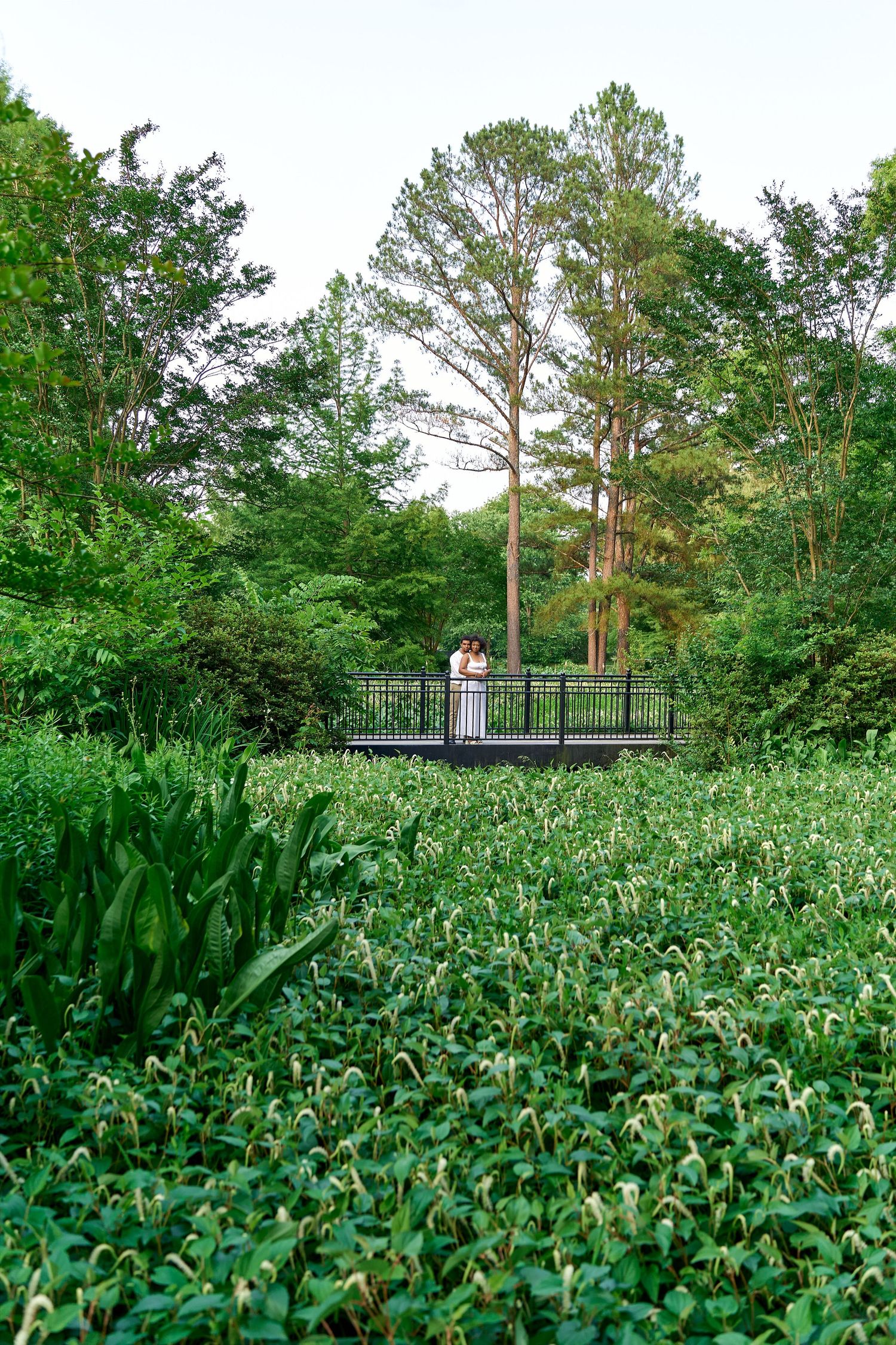 Couple stands on ornamental bridge amid expansive green garden with tall trees and white blooming plants.