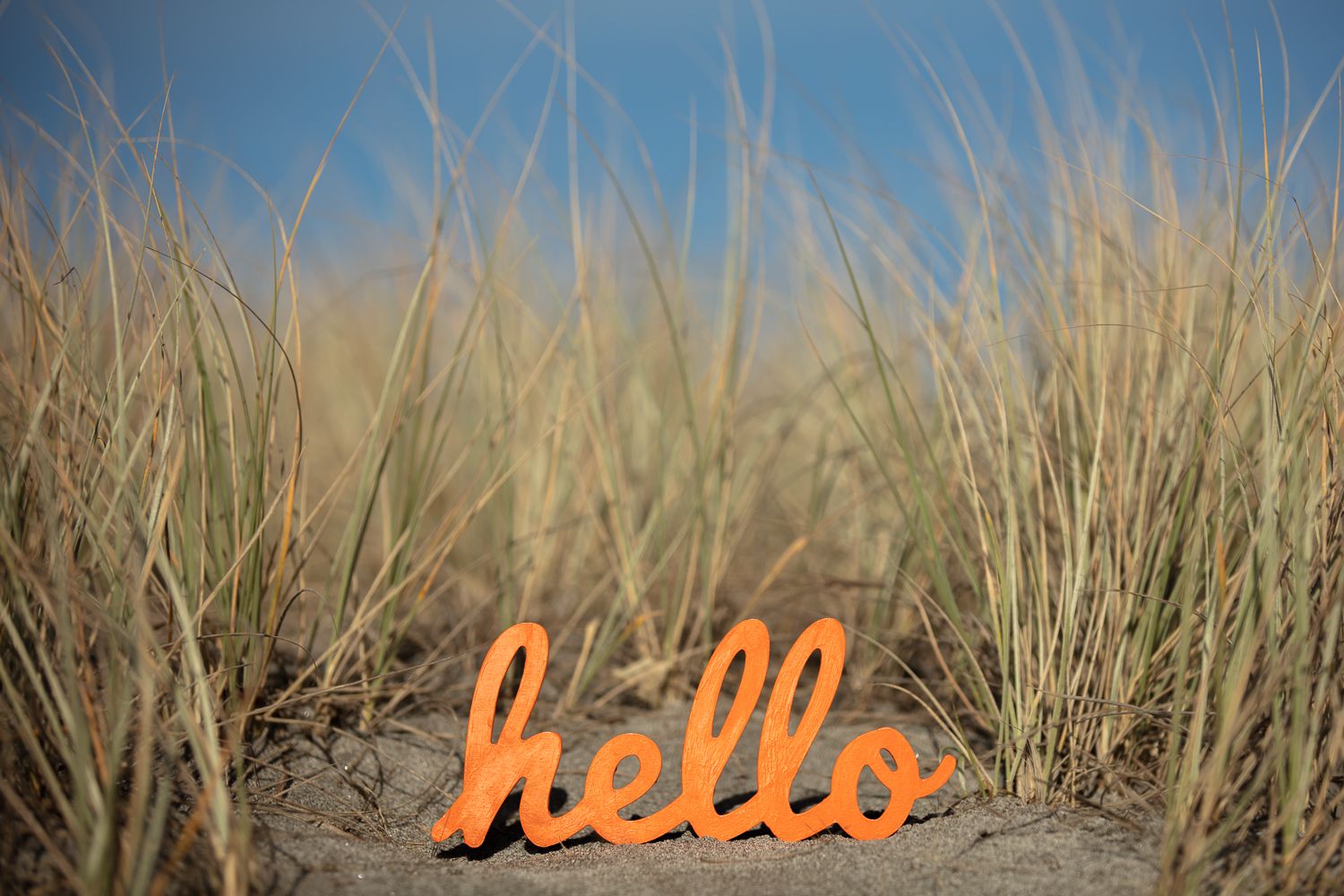 Claire House Photography photograph of an orange wooden hello sign in the sand dunes with blue sky.