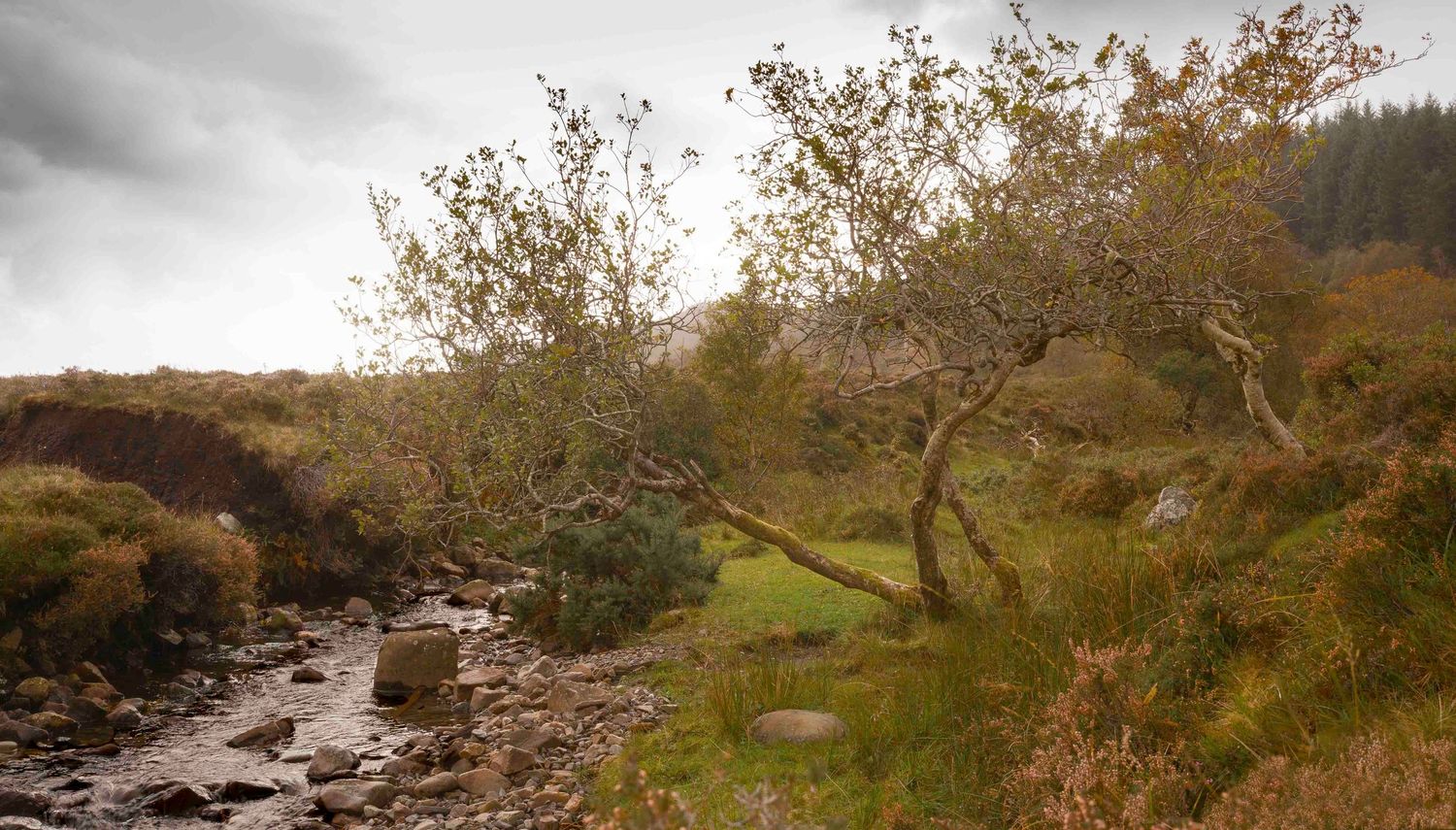 Landscape shot of stream in Isle of Skye