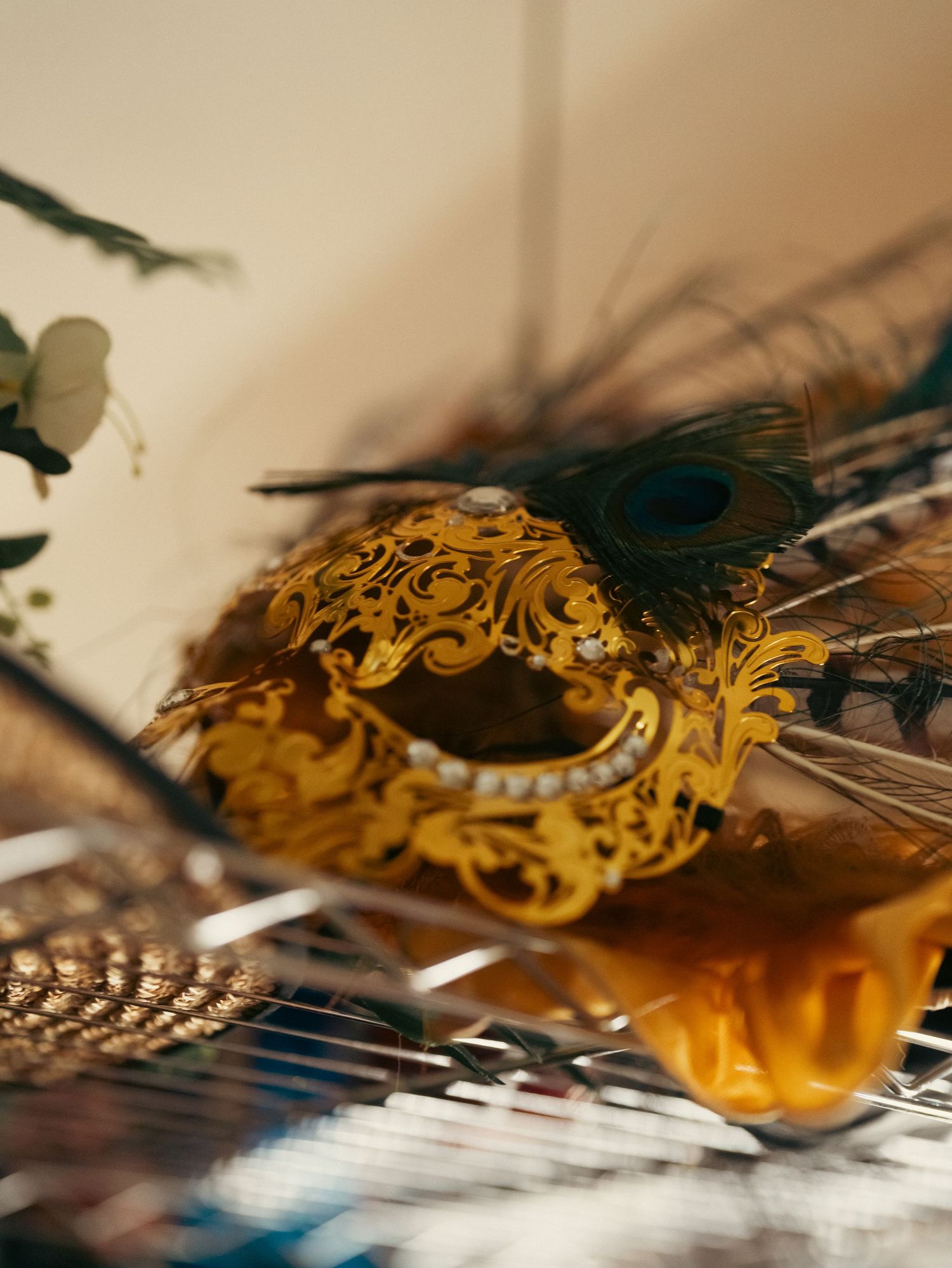Ornate gold Venetian masquerade mask with peacock feather resting on a surface.