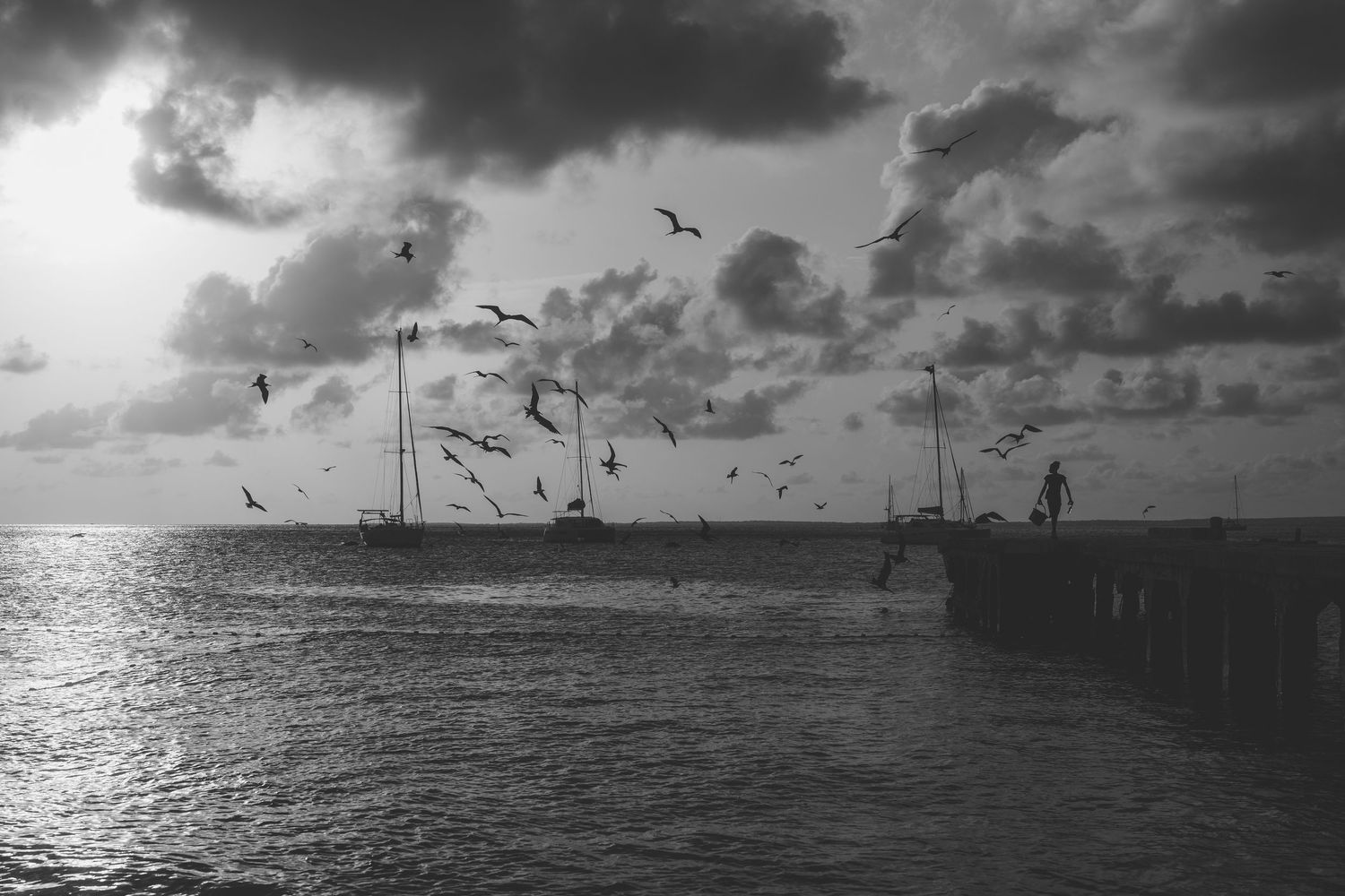 Black and white seascape with seagulls flying over ocean waters near a pier at sunset.