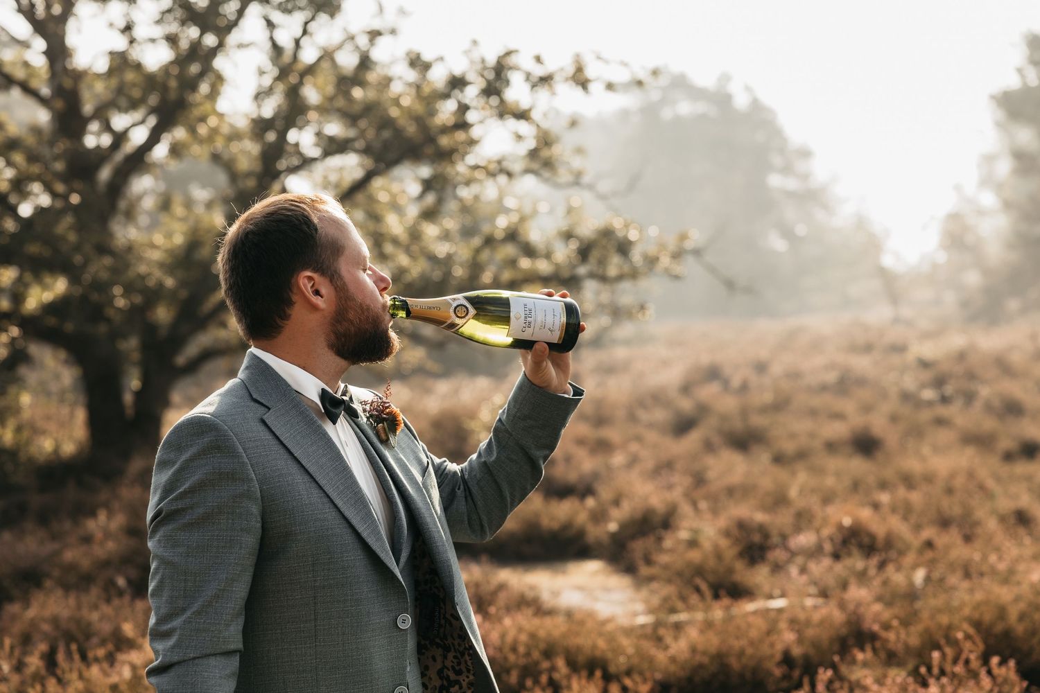 Groom in gray suit and bow tie drinking champagne from bottle outdoors in golden heathland.