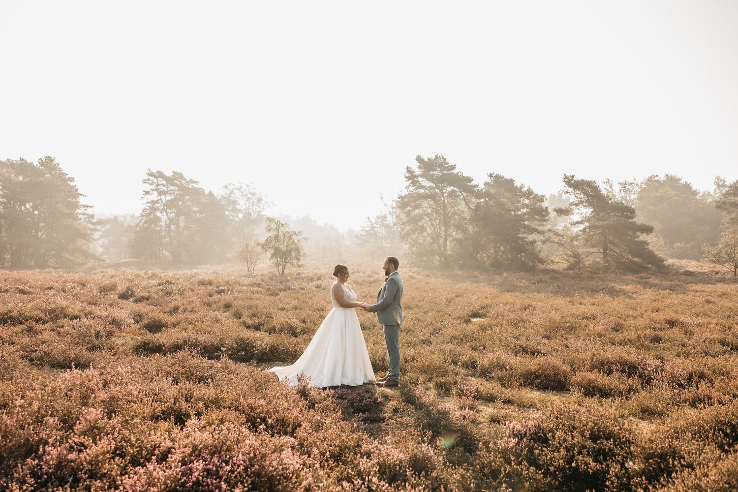 Bride and groom hold hands facing each other in a misty heathland field surrounded by pine trees.