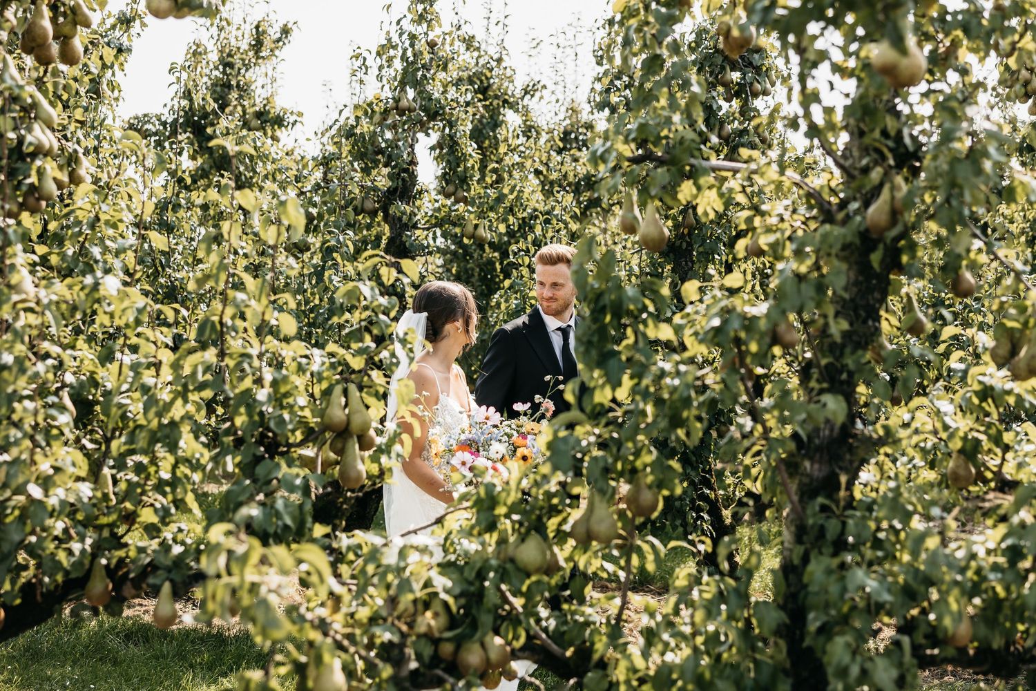 Bride and groom share a romantic moment surrounded by lush green orchard trees.