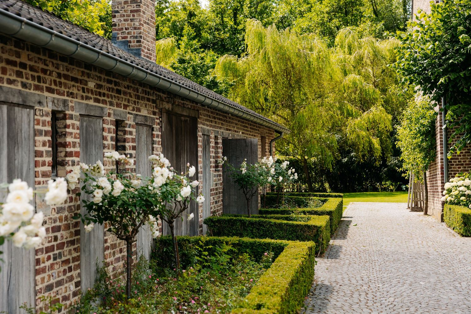 Charming rustic brick wedding venue with white roses and manicured hedges on cobblestone path.