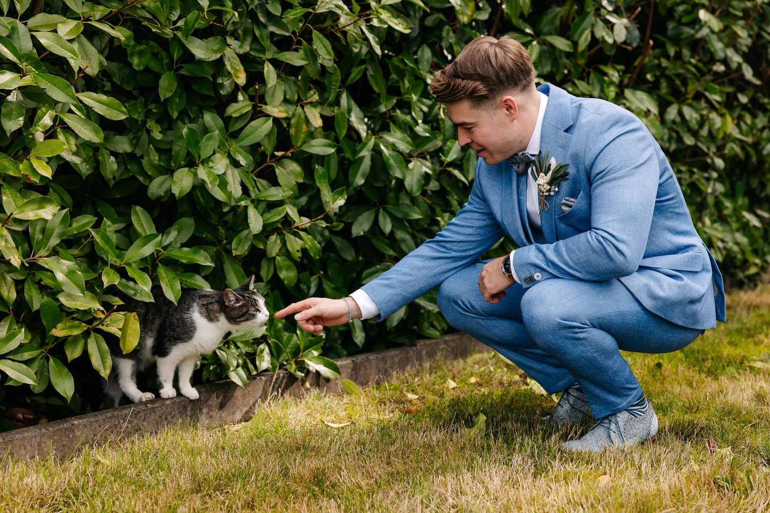 Groom in a blue suit crouches to pet a black and white cat beside a green hedge.