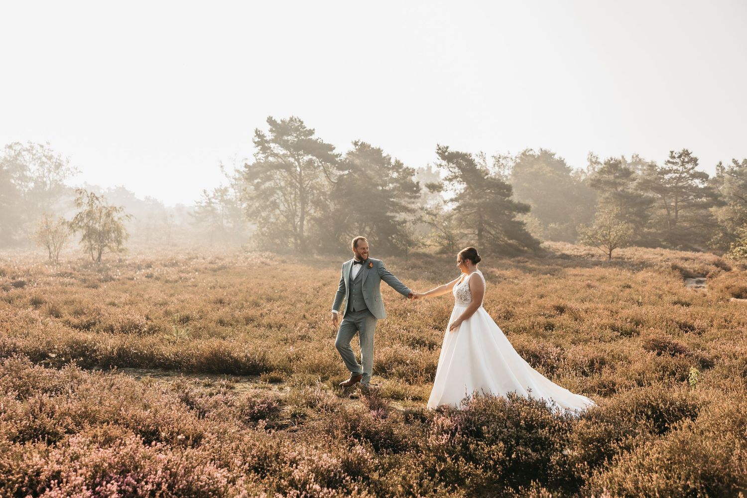 Wedding couple walks hand in hand through a sunlit heathland field with pine trees in the misty background.