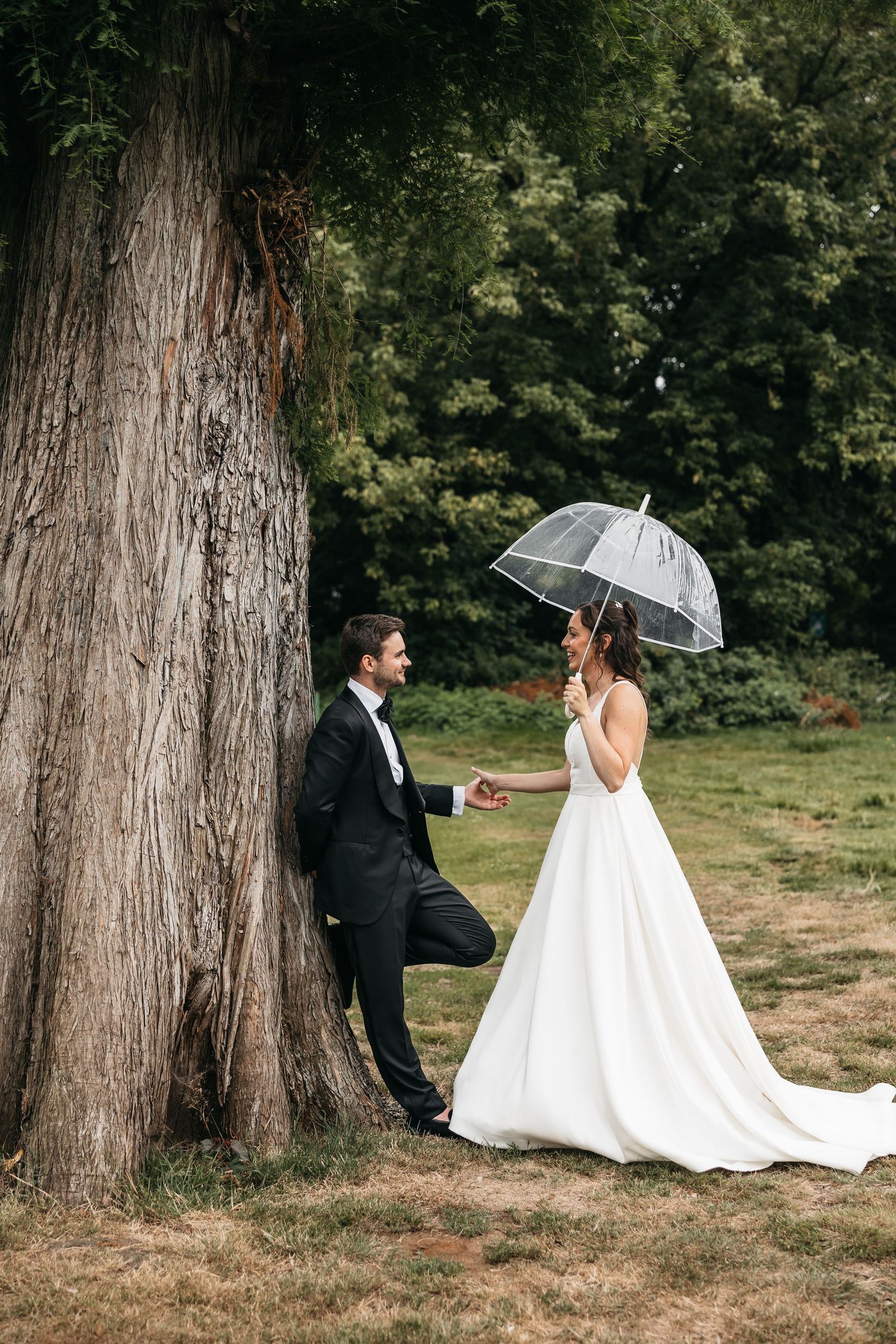 Bride holding a clear umbrella reaches for grooms hand beside a large tree in a park.
