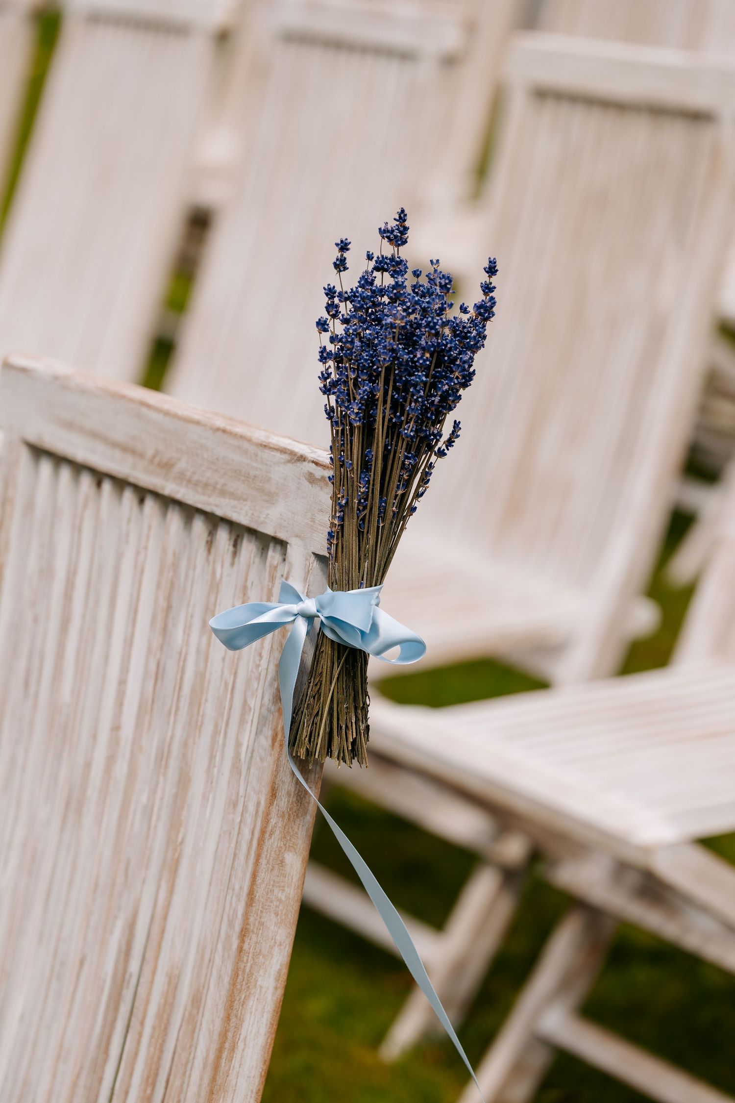 Dried lavender bouquet tied with a blue ribbon on a white wooden wedding chair.
