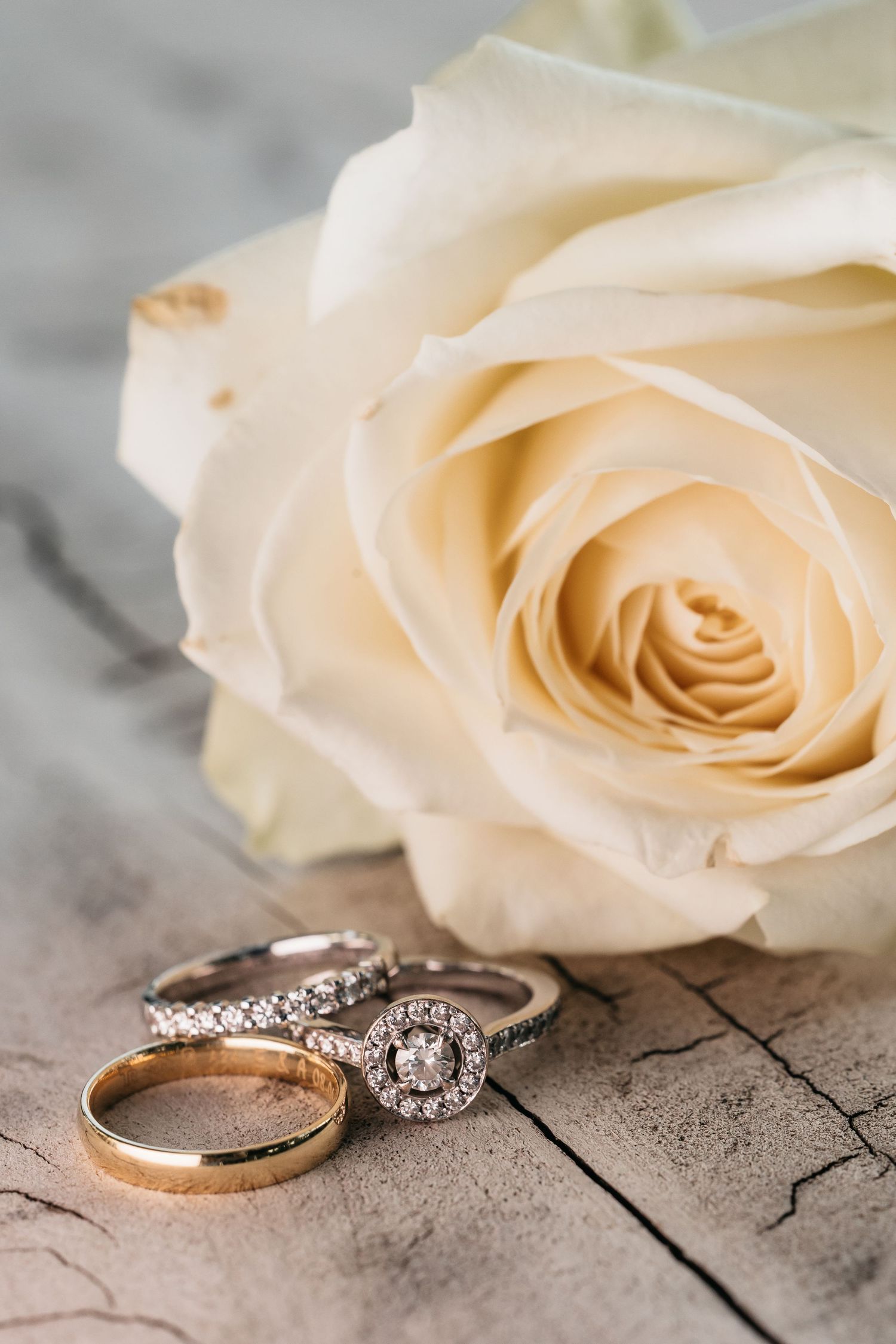 Diamond engagement ring and gold wedding band beside a white rose on rustic wooden surface.